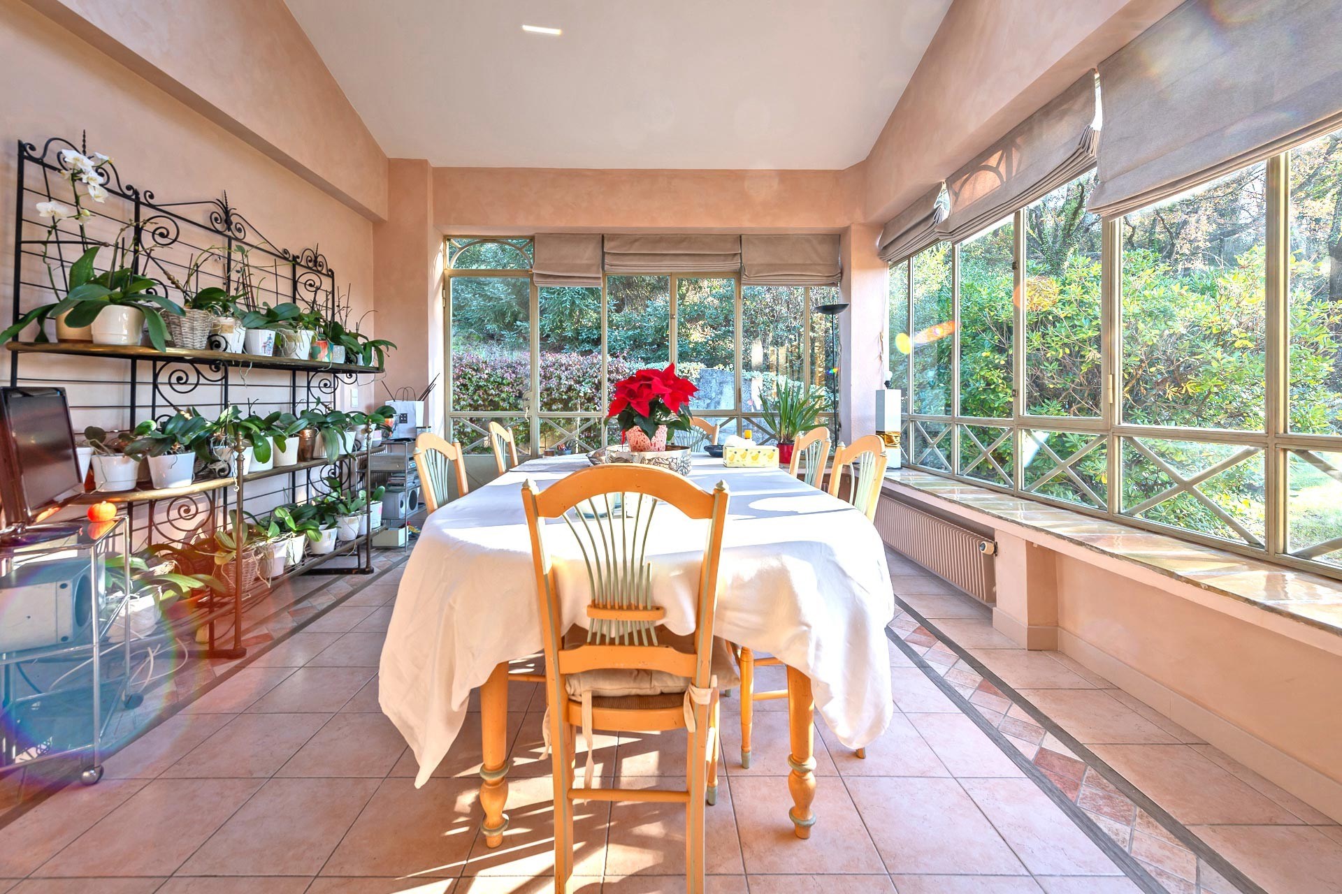  Châteauneuf-Grasse historic stone farmhouse estate with 3 hectares land, pool a… - 物件實景