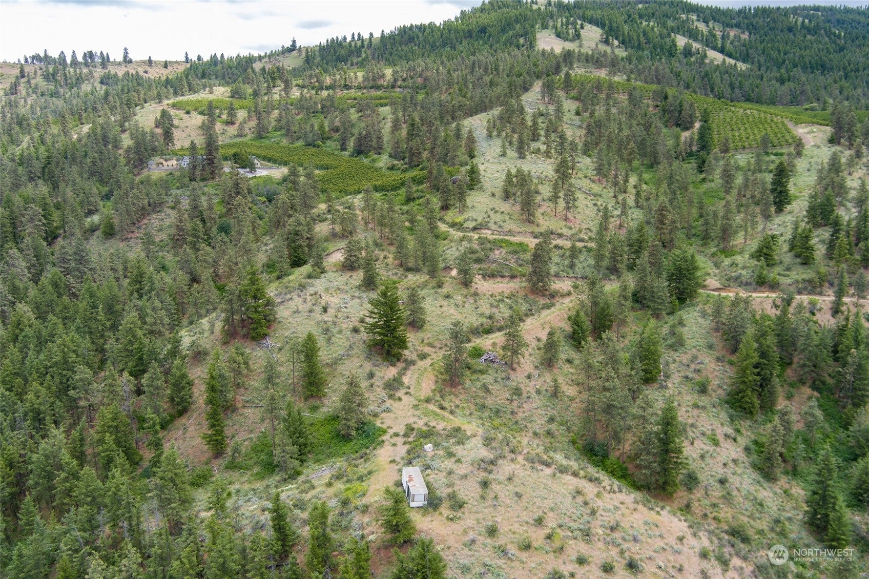 Wenatchee, Washington, 98801, United States, ,Land,For Sale,1690373