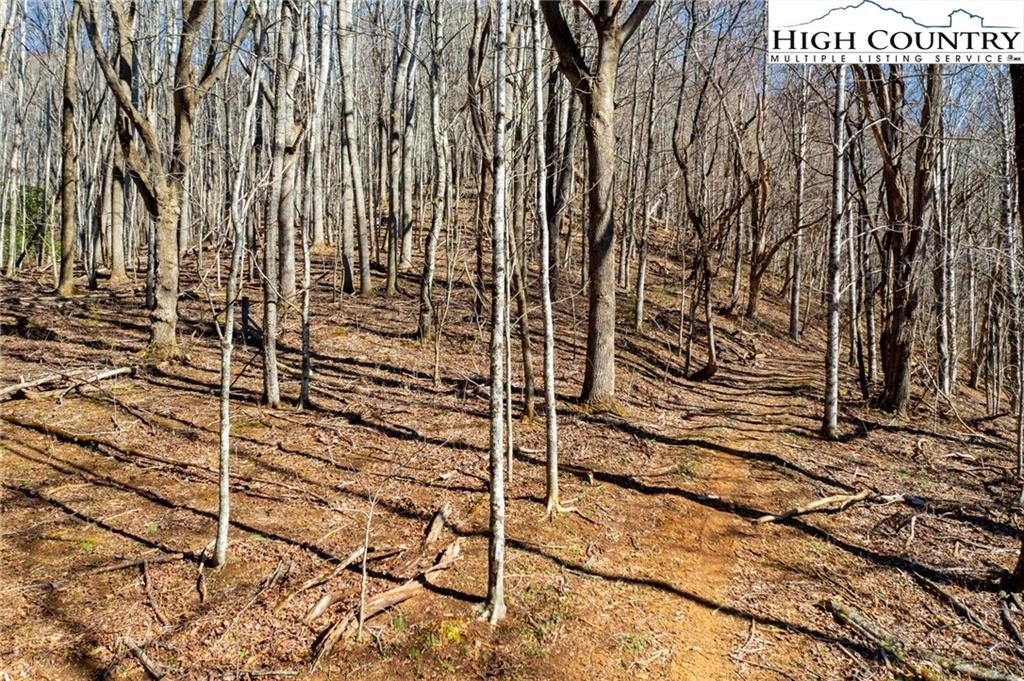 Warrensville, North Carolina, 28693, United States, ,Land,For Sale,1984173