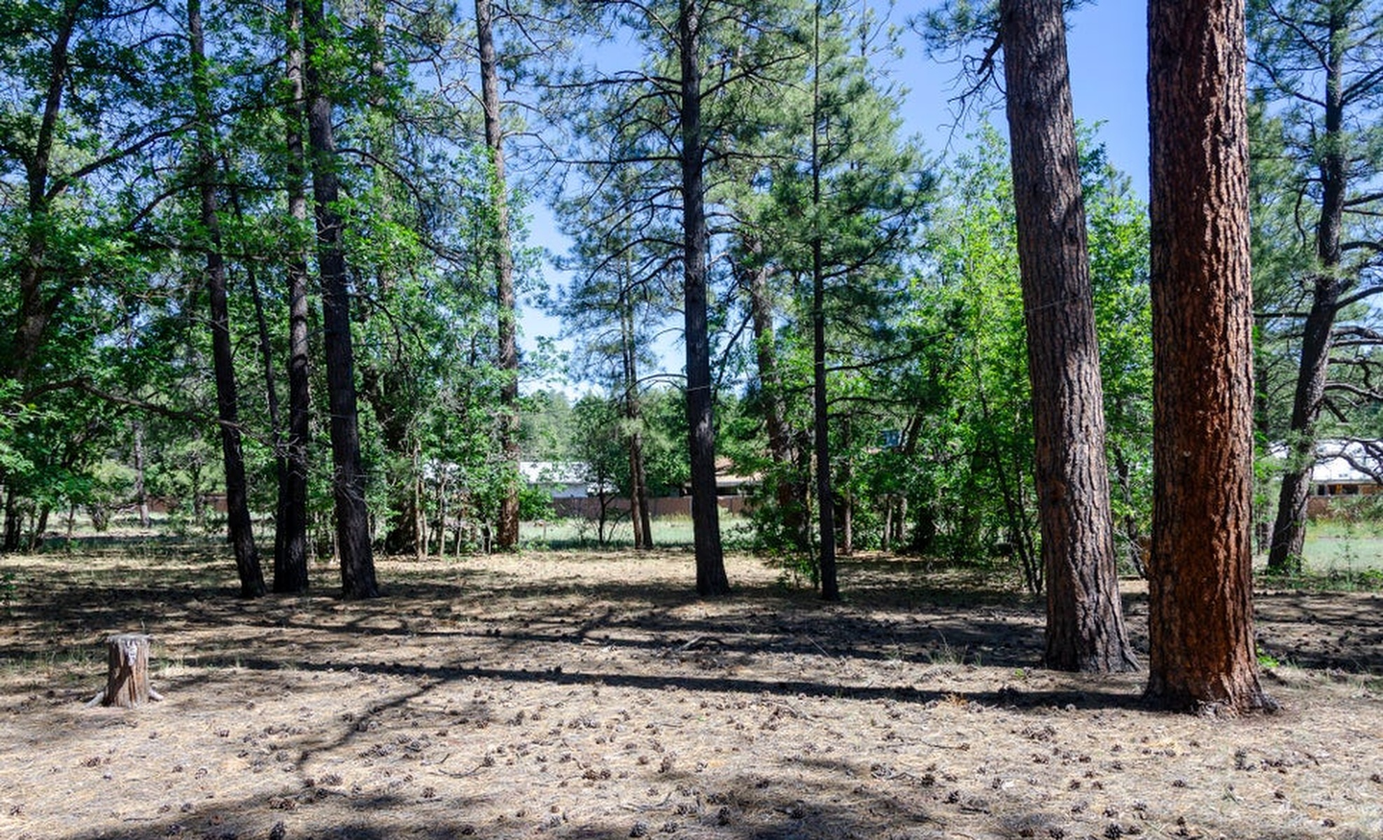  2651 East Chilton Drive  Pinetop, AZ - 物件實景