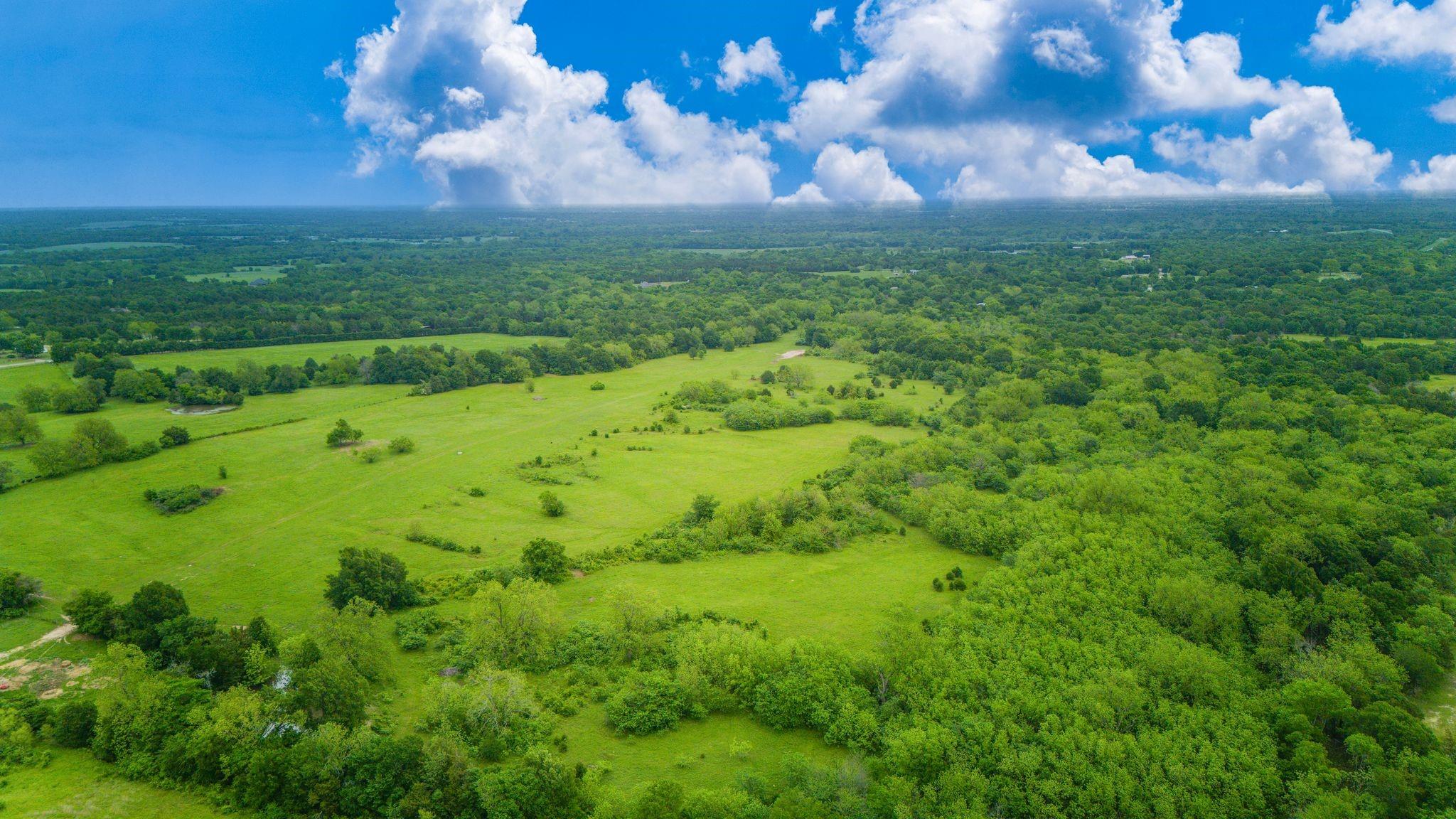 Celeste, Texas, 75423, United States, ,Land,For Sale,1977451