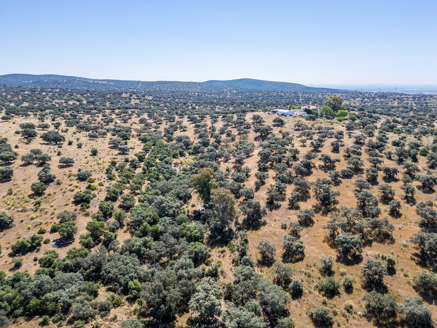  Livestock, hunting, and recreational estate in Castiblanco de los Arroyos - 物件實景
