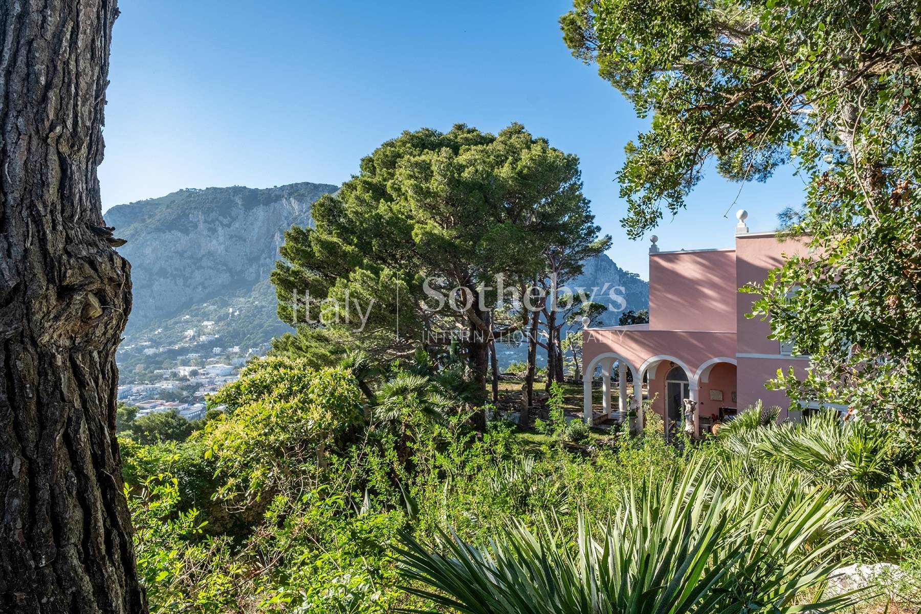  Monumental villa overlooking the sea of Capri - 物件實景
