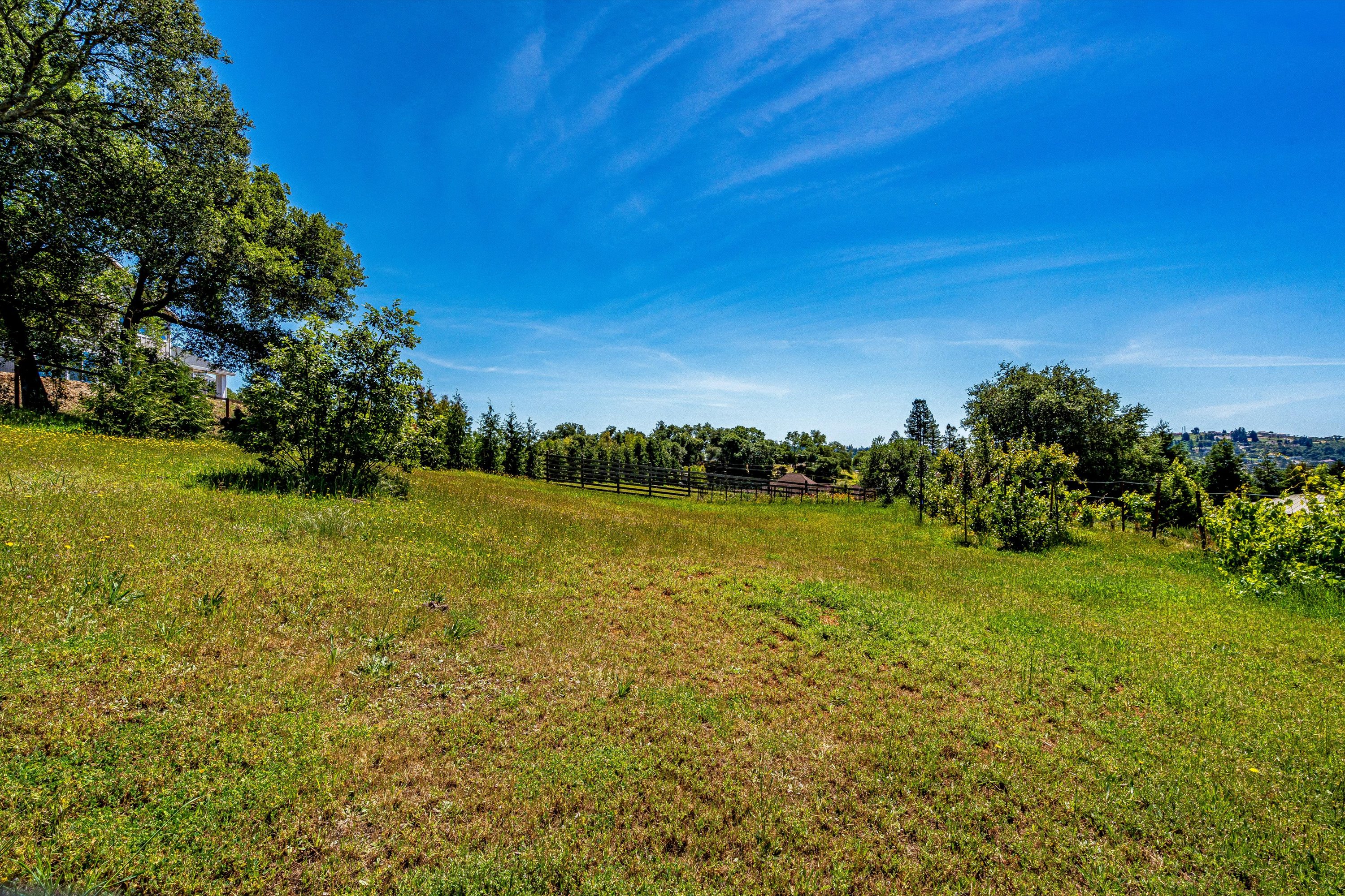  1750 Crystal Springs Court - 物件實景