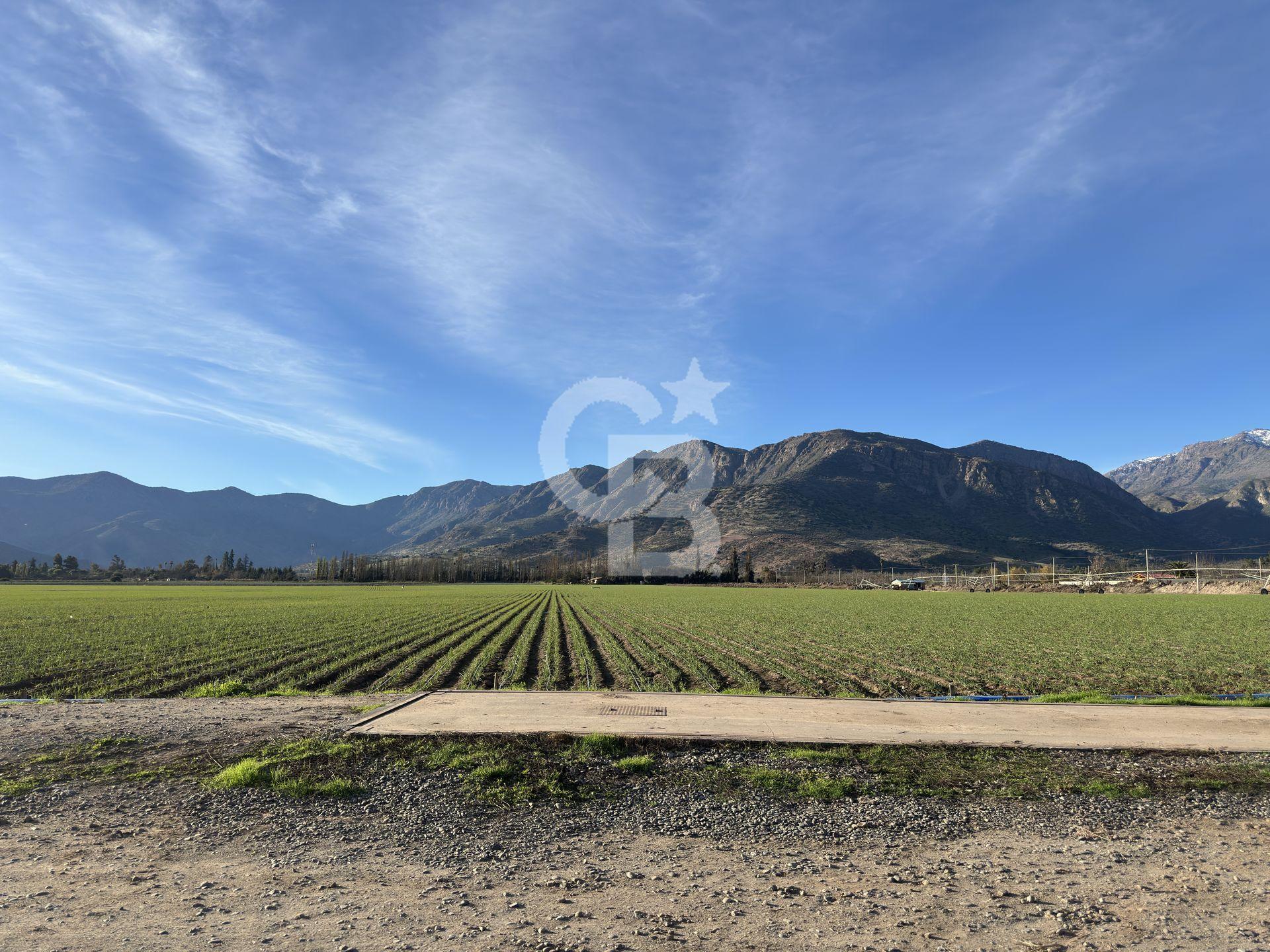 Catemu, Chile, ,Residential,For Sale,1971314