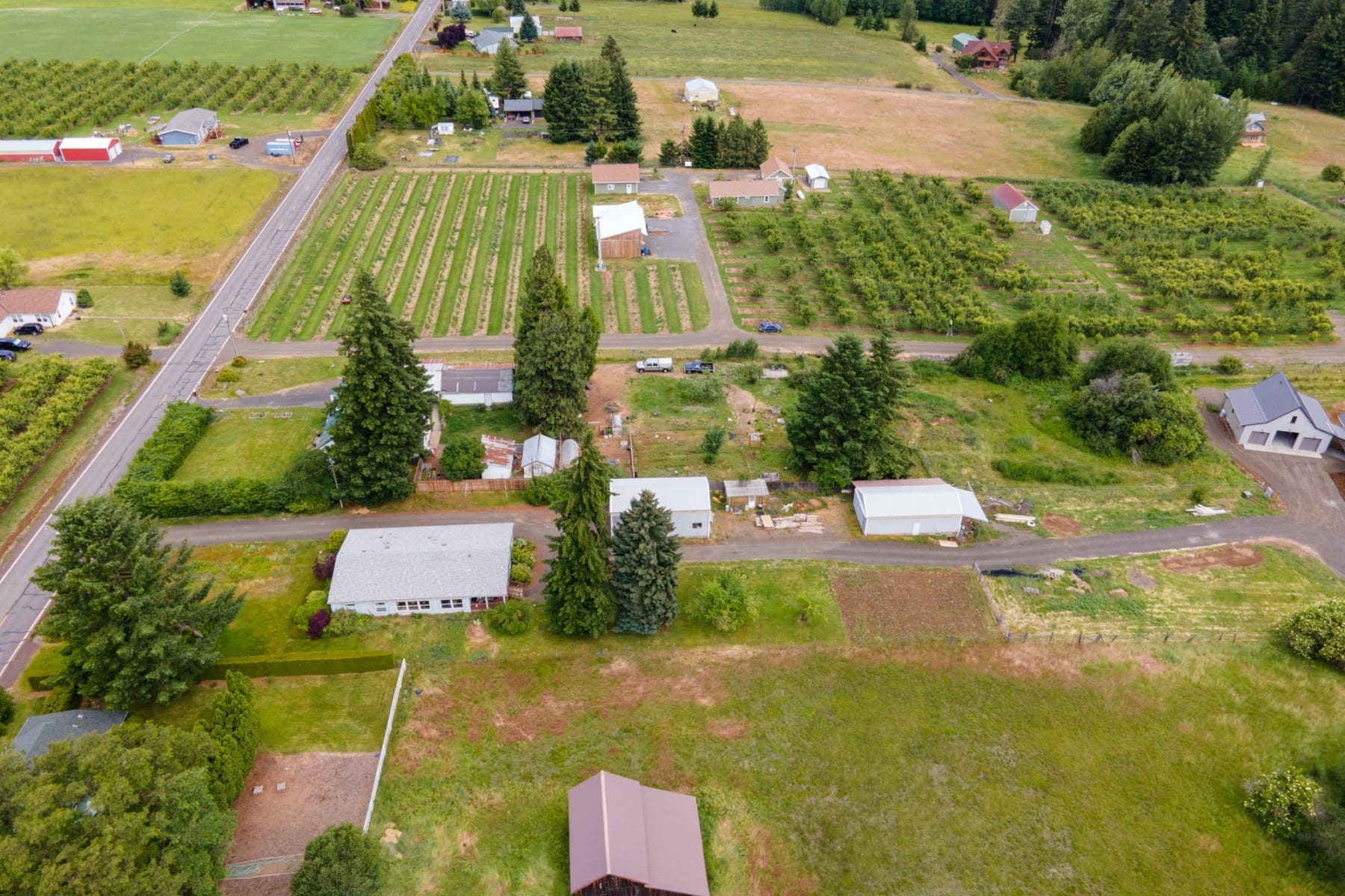  6455 TROUT CREEK RIDGE RD Mt Hood Prkdl, OR 97041 - 物件實景