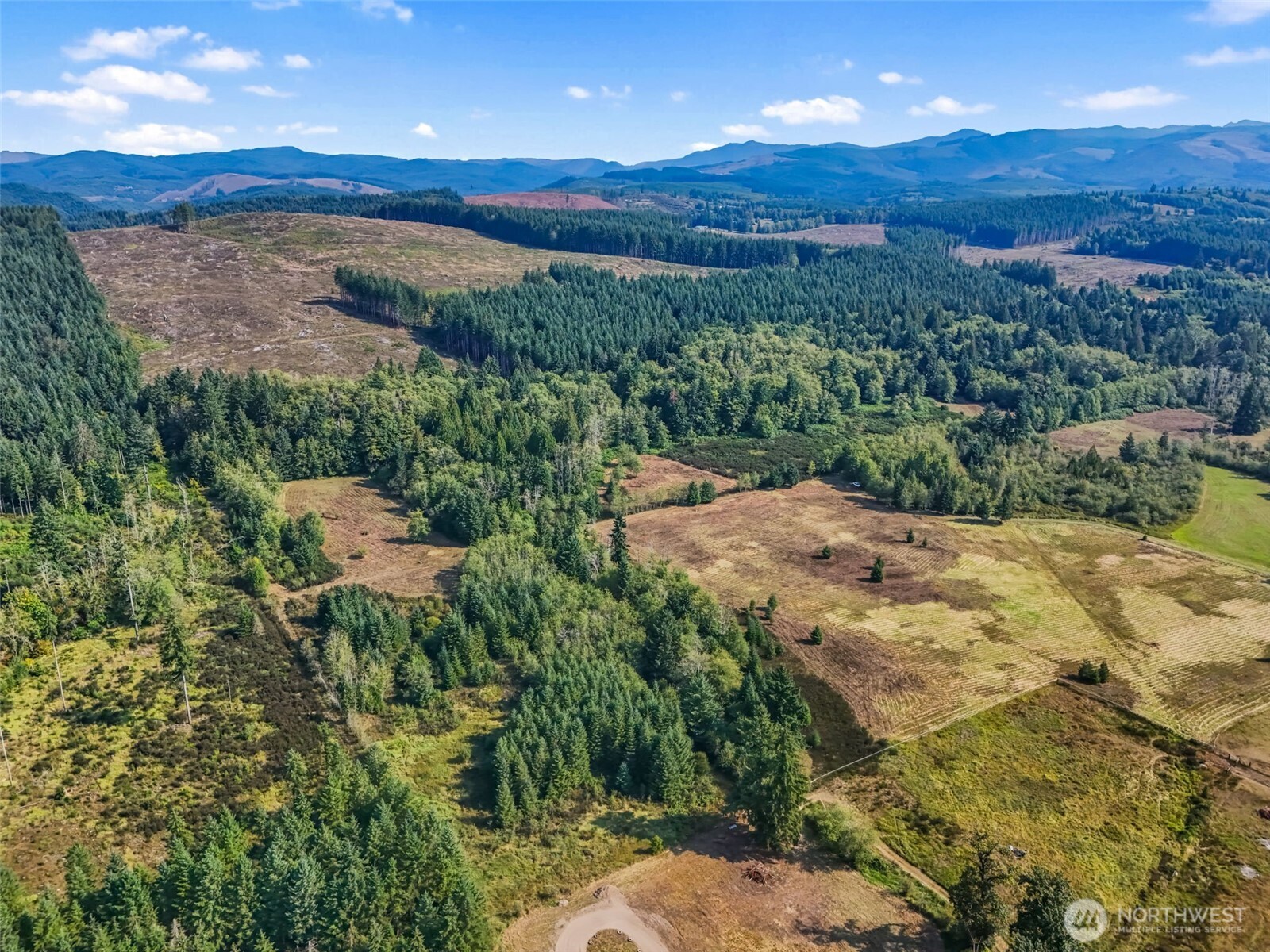 Onalaska, Washington, 98570, United States, ,Land,For Sale,1994245