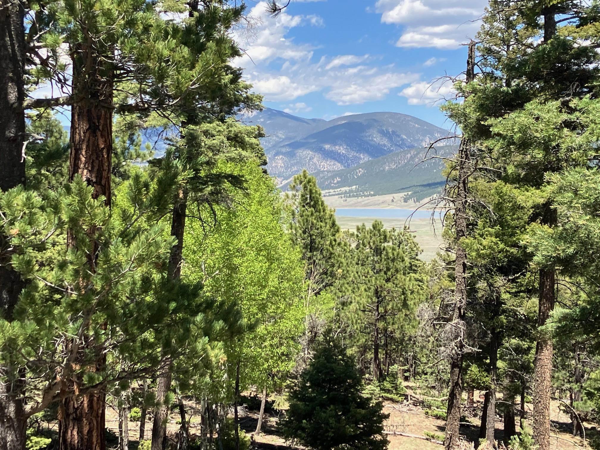 Eagle Nest, New Mexico, 87718, United States, ,Land,For Sale,1752253