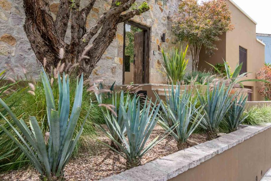 San Miguel de Allende, Guanajuato, 37740, Mexico, 2 Bedrooms Bedrooms, ,2 BathroomsBathrooms,Residential,For Sale,1918301
