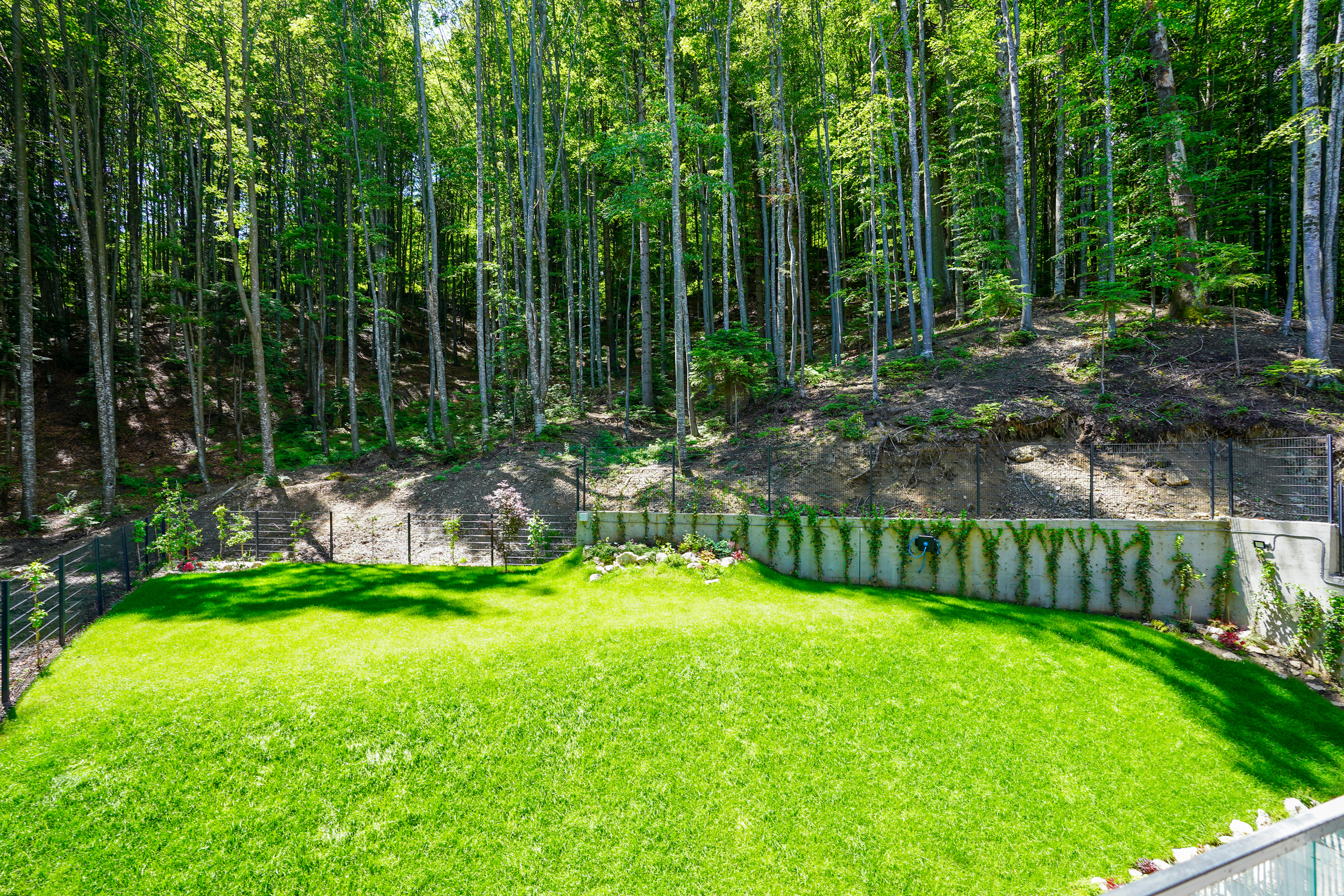  Penthouse Bordering the Forest, Sinaia - 物件實景