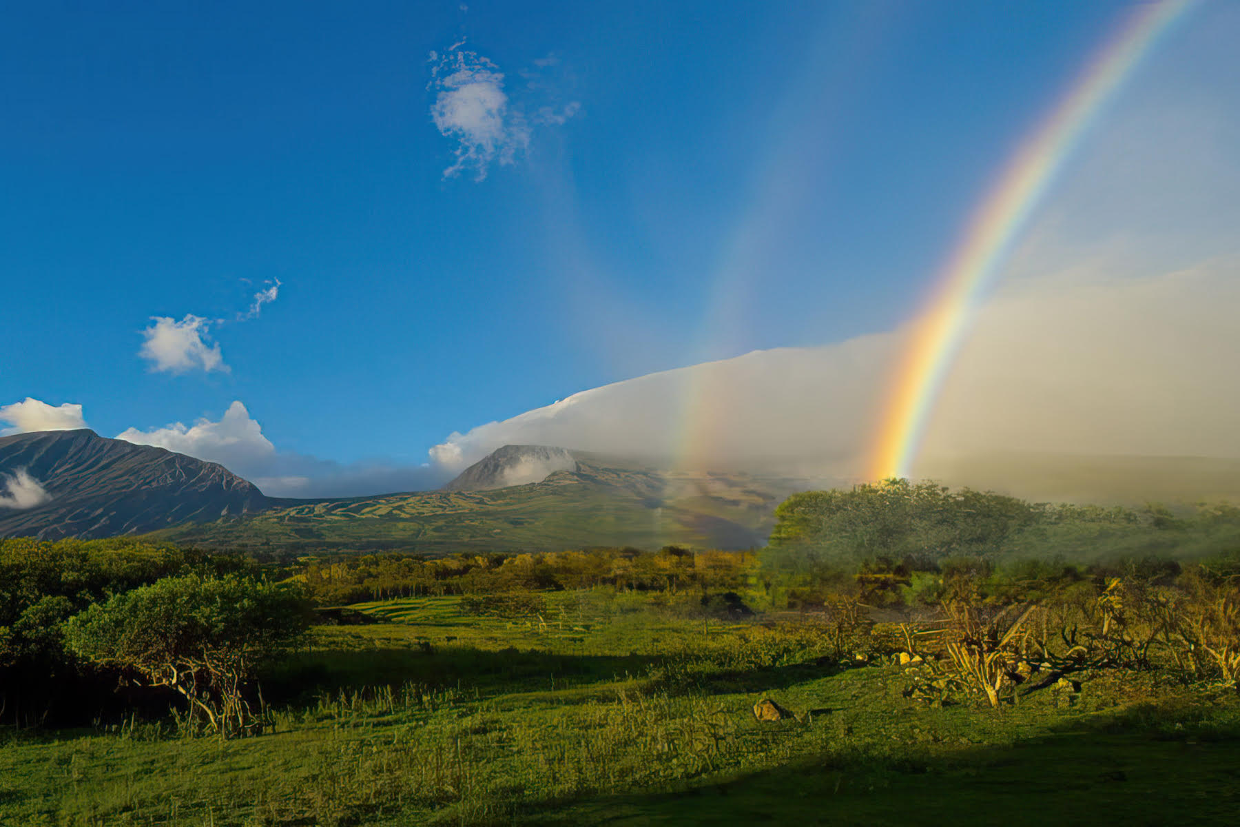  30 Acres of Pristine Land in Kaupo - 物件實景