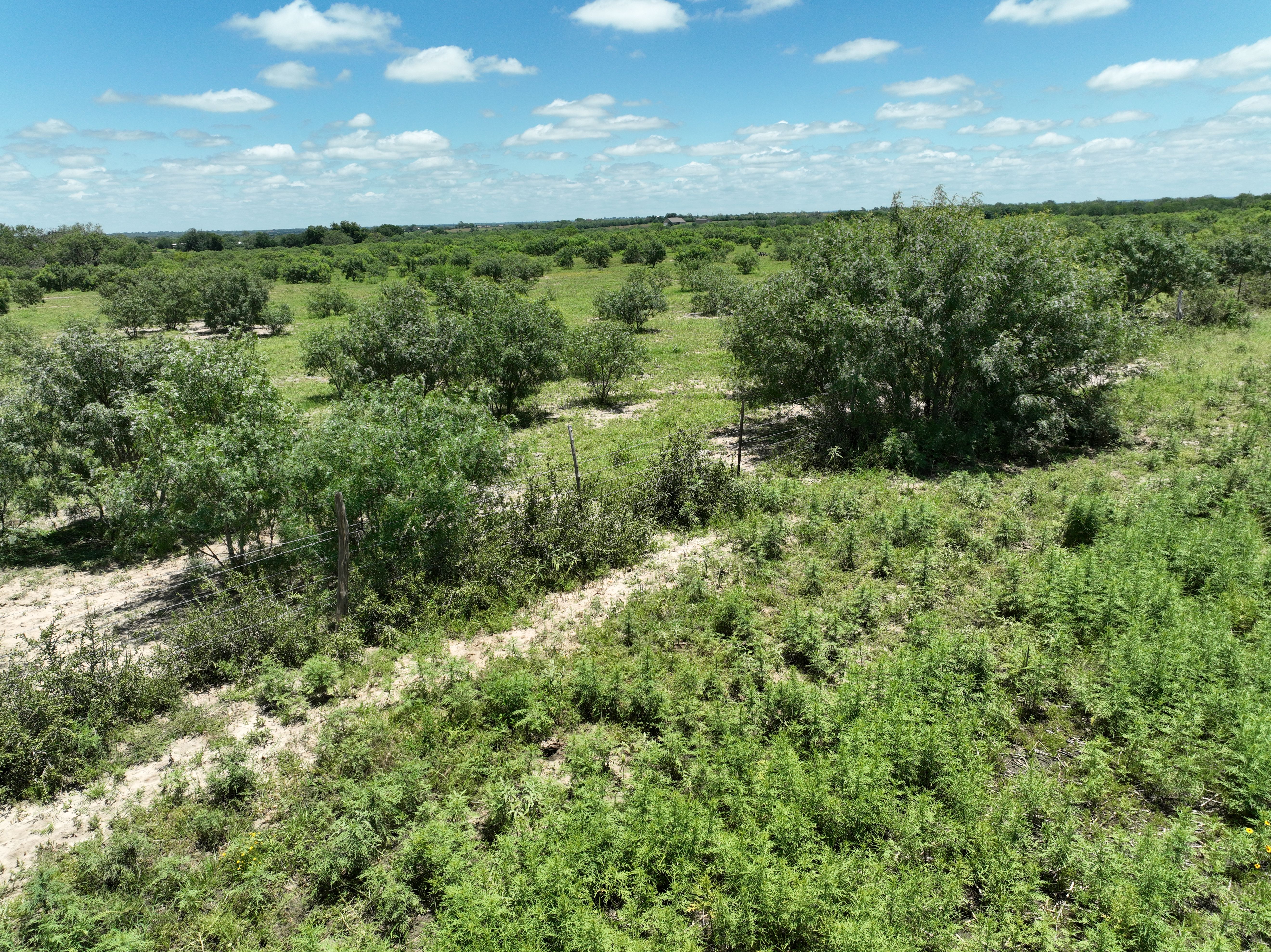  87.69+/- Acres in Bexar County - 物件實景