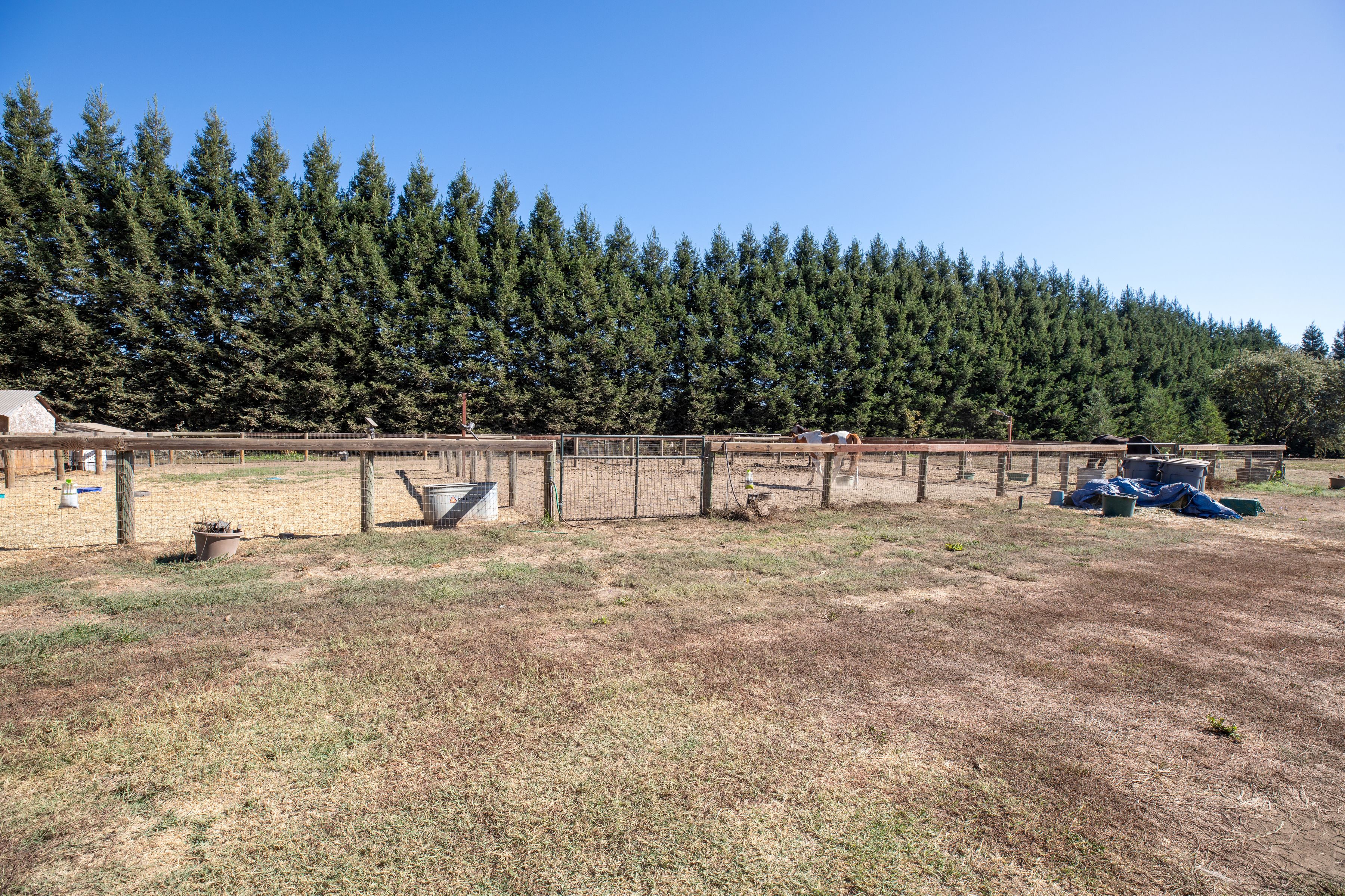  3290 Somers Street, Santa Rosa - 物件實景