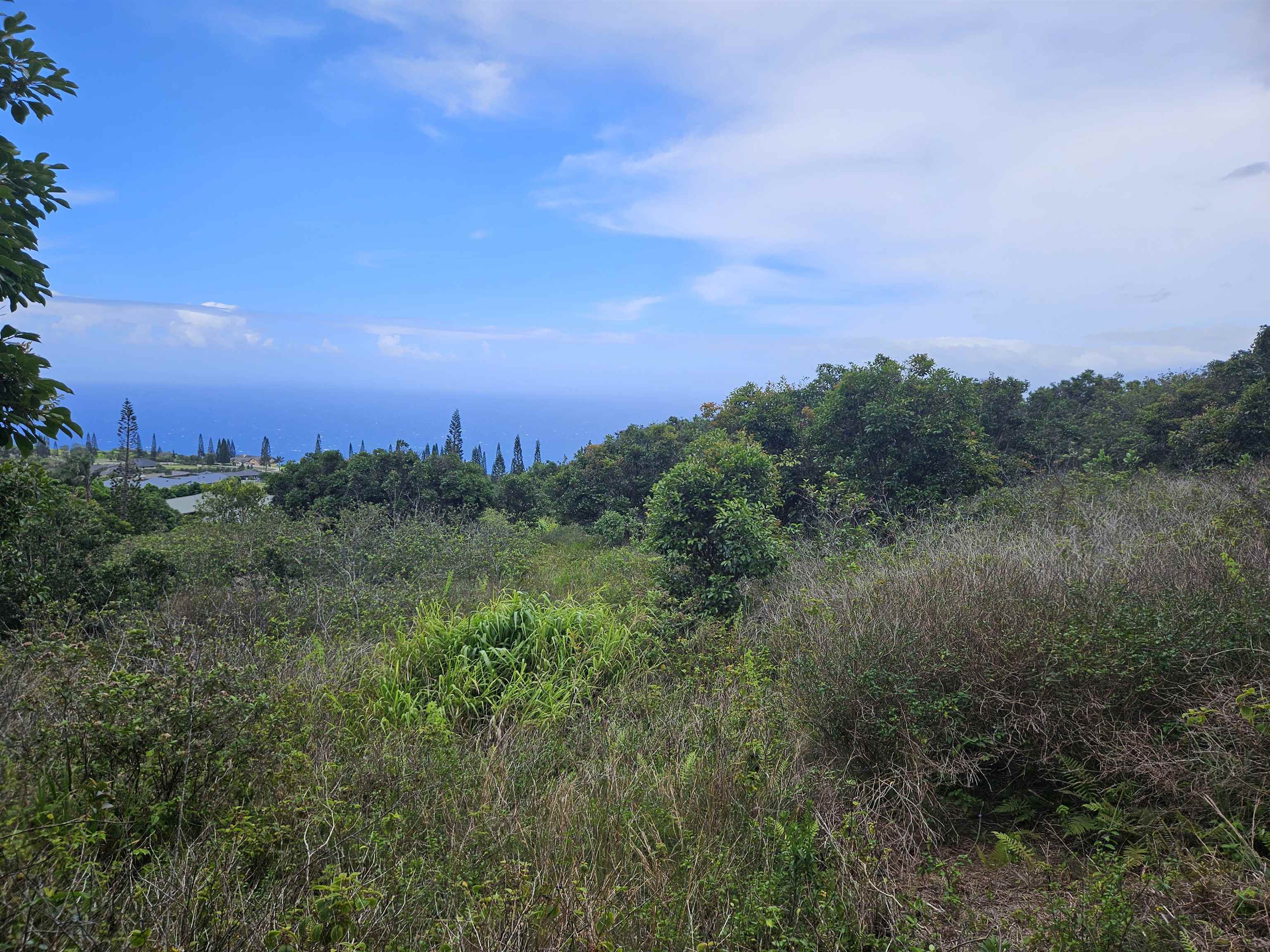 63 Lahaole Pl, Wailuku, Hawaii, 96793, United States, ,Land,For Sale,63 Lahaole Pl,1676772