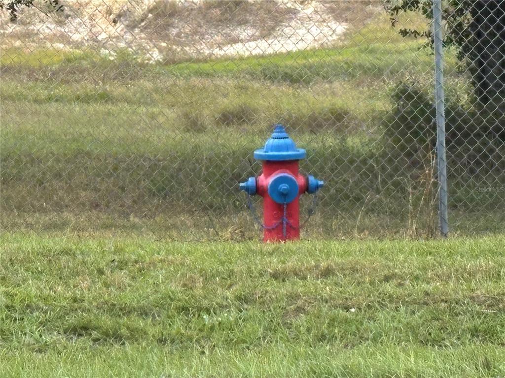 Apopka, Florida, 32712, United States, ,Land,For Sale,1998337