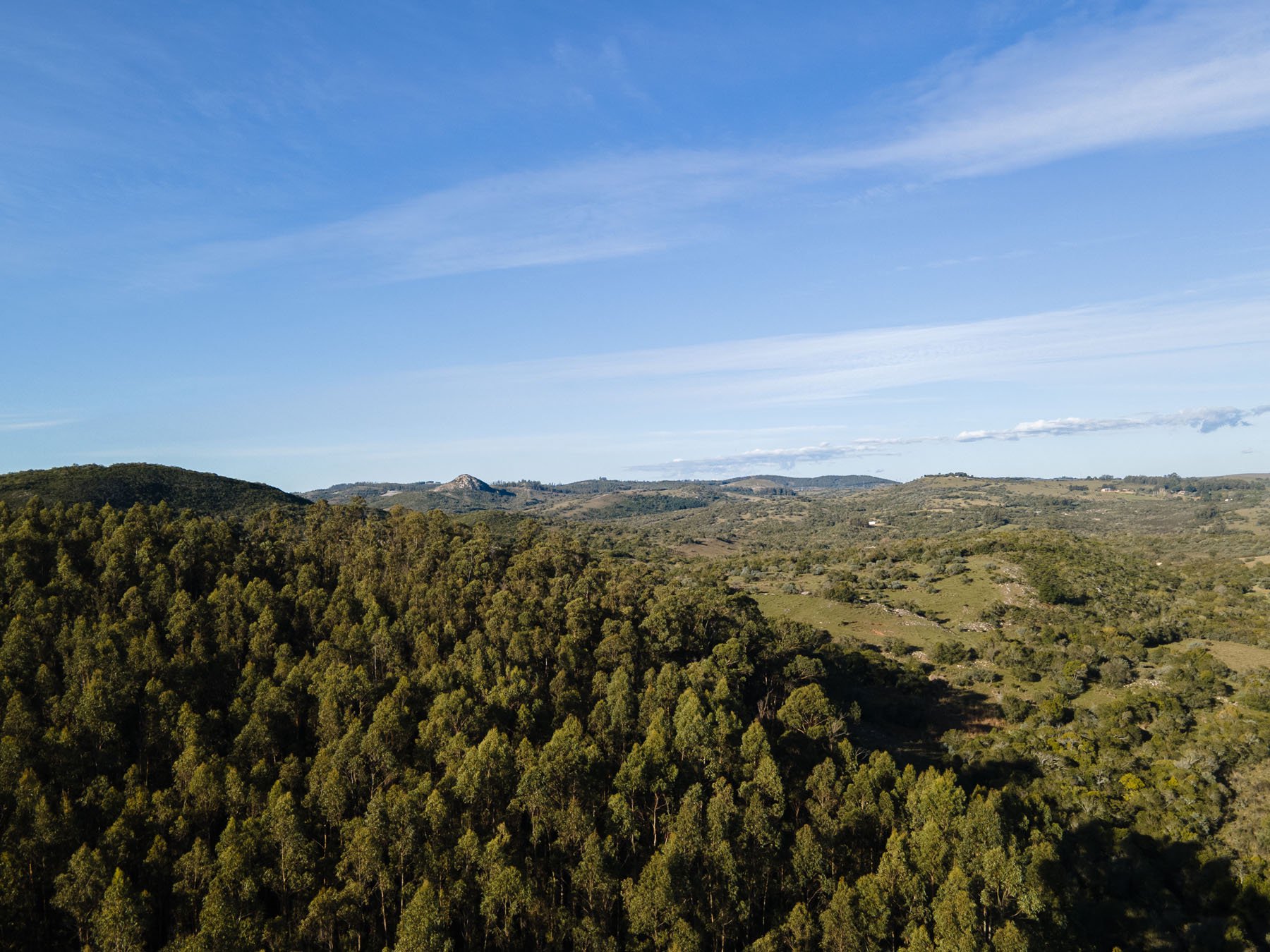 63.25 acres farm in Pueblo Edén. - 物件實景