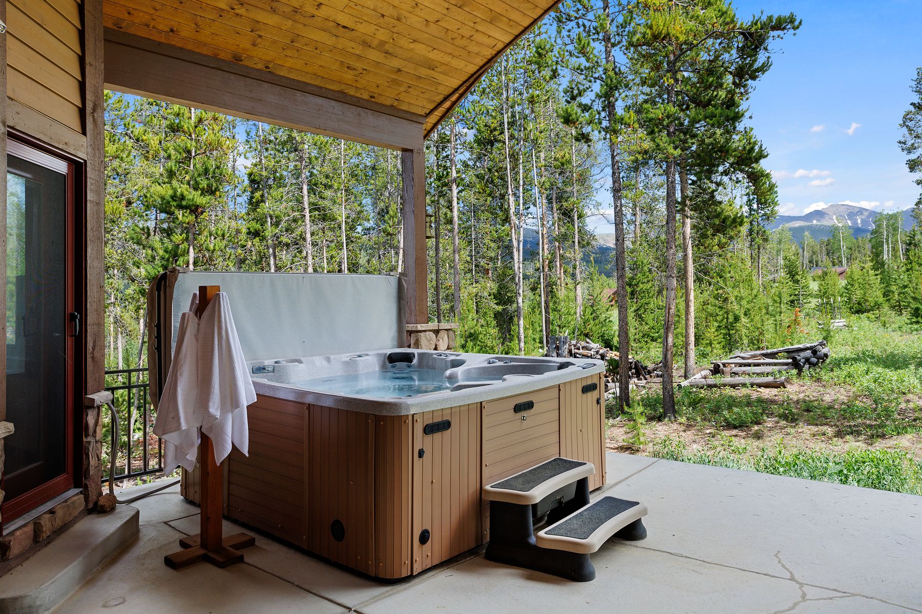  217 Leland Creek, Winter Park, CO, 80482 - 物件實景