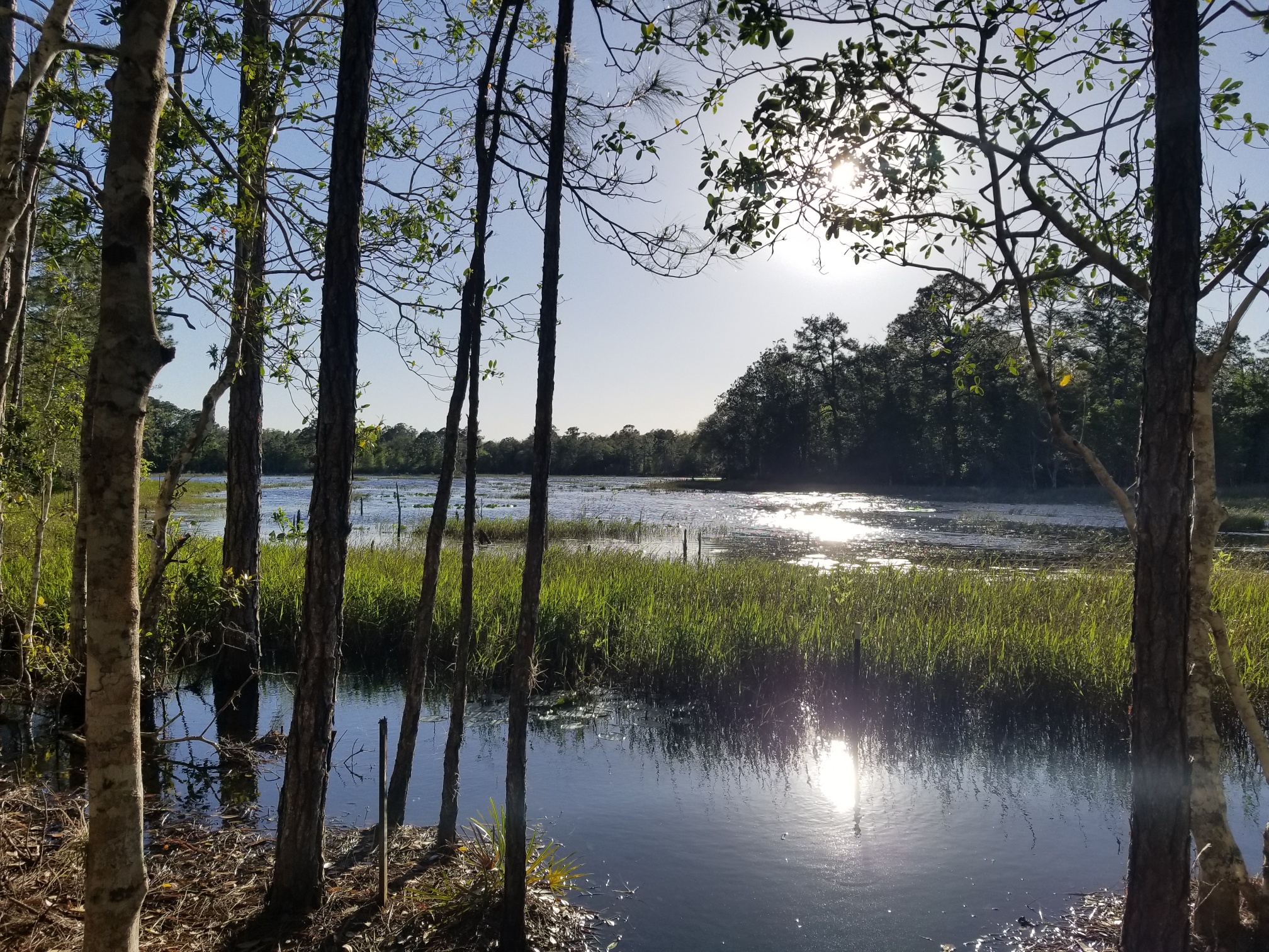 Crescent City, Florida, 32112, United States, 3 Bedrooms Bedrooms, ,Residential,For Sale,1943511