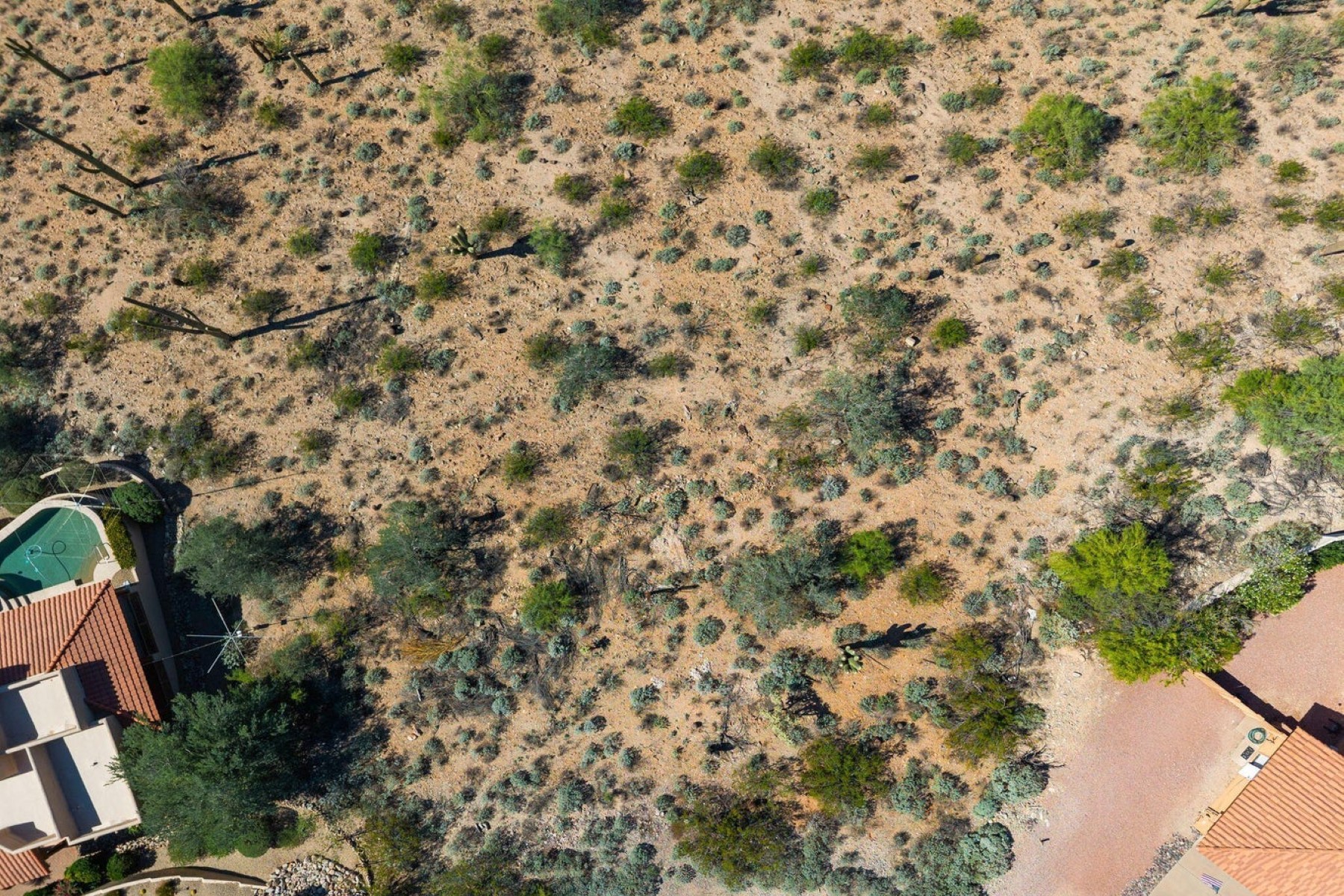  11220 N Garland Circle¦Fountain Hills, AZ - 物件實景