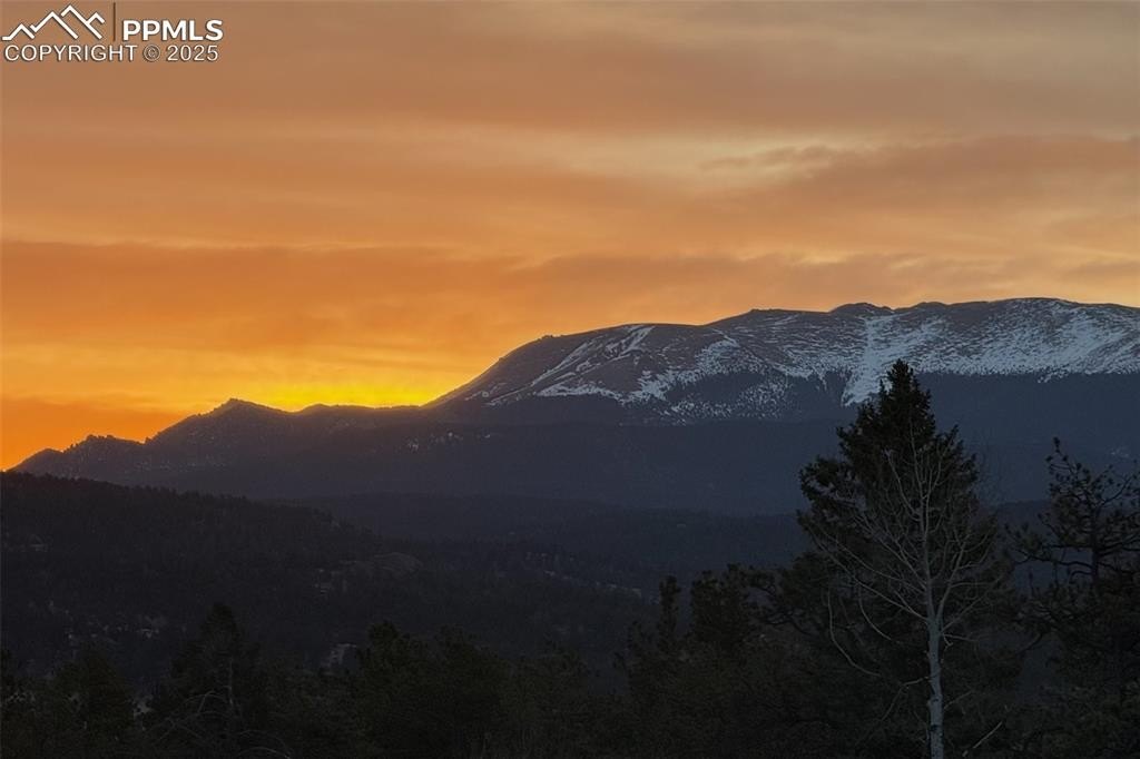 Florissant, Colorado, 80816, United States, 3 Bedrooms Bedrooms, ,2 BathroomsBathrooms,Residential,For Sale,1882650