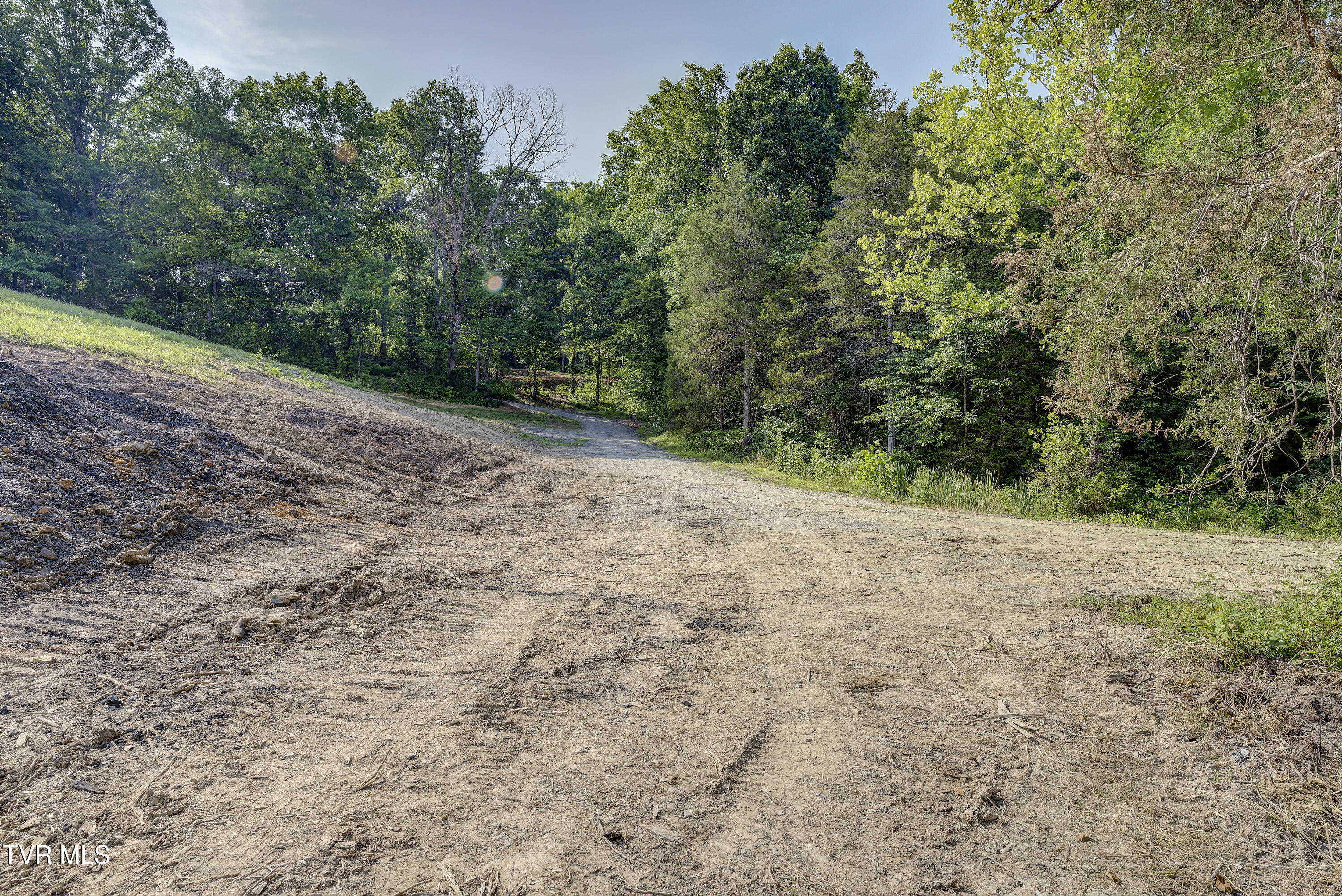 Piney Flats, Tennessee, 37686, United States, ,Land,For Sale,1983828