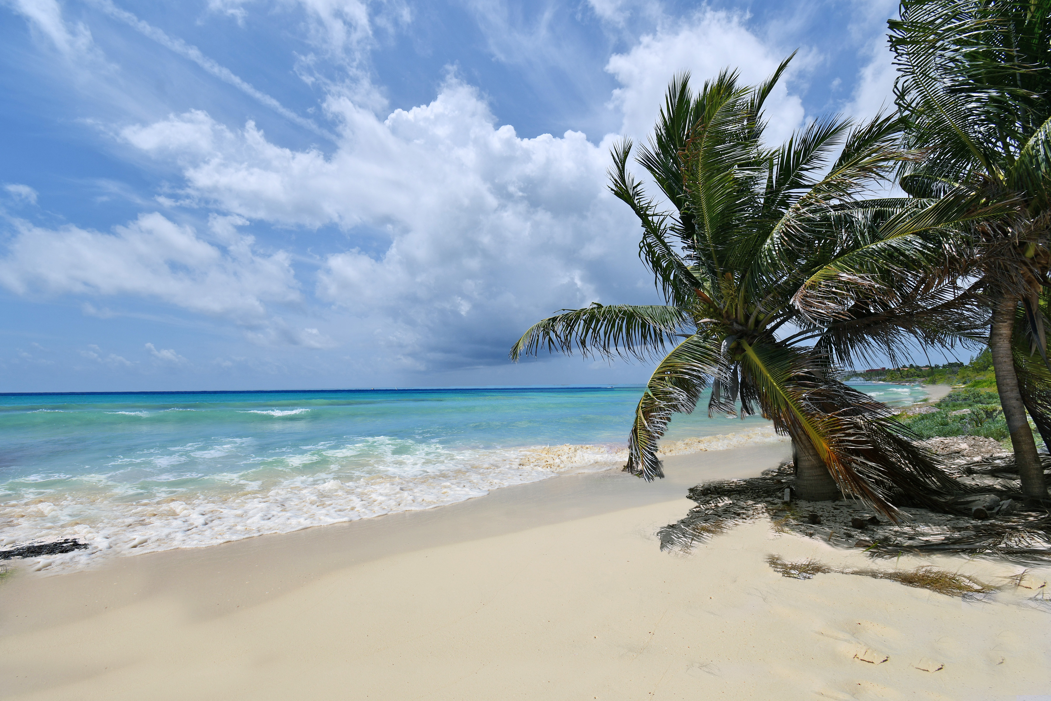  Beachfront Paradise - 物件實景