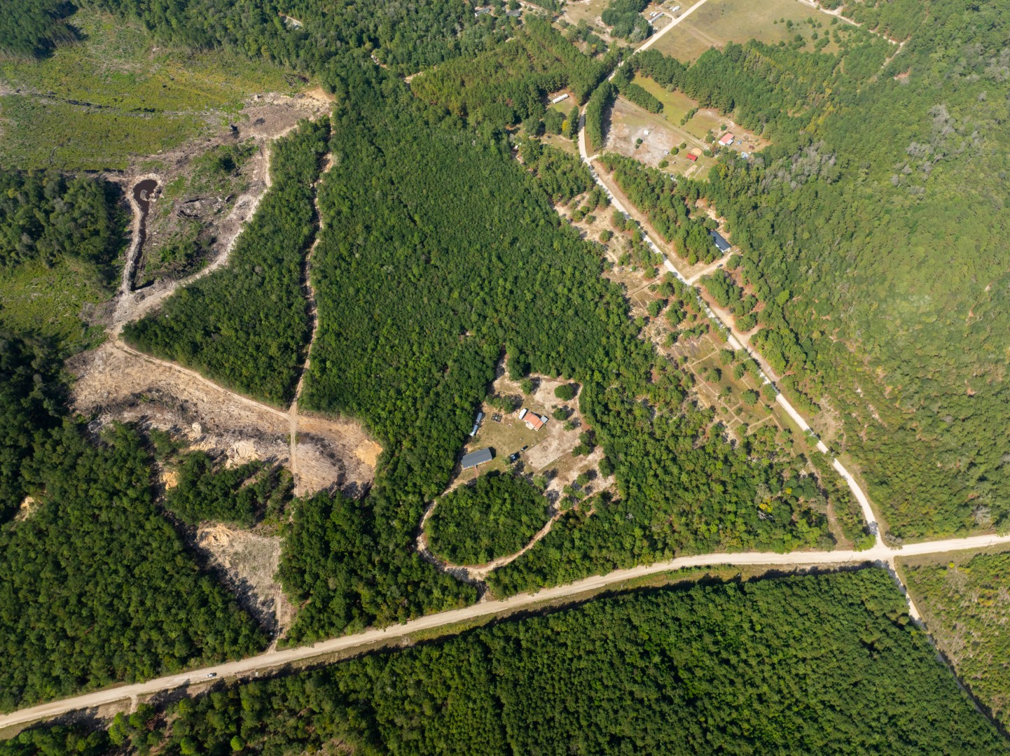 Nichols, South Carolina, 29581, United States, 4 Bedrooms Bedrooms, ,2 BathroomsBathrooms,Residential,For Sale,1983530