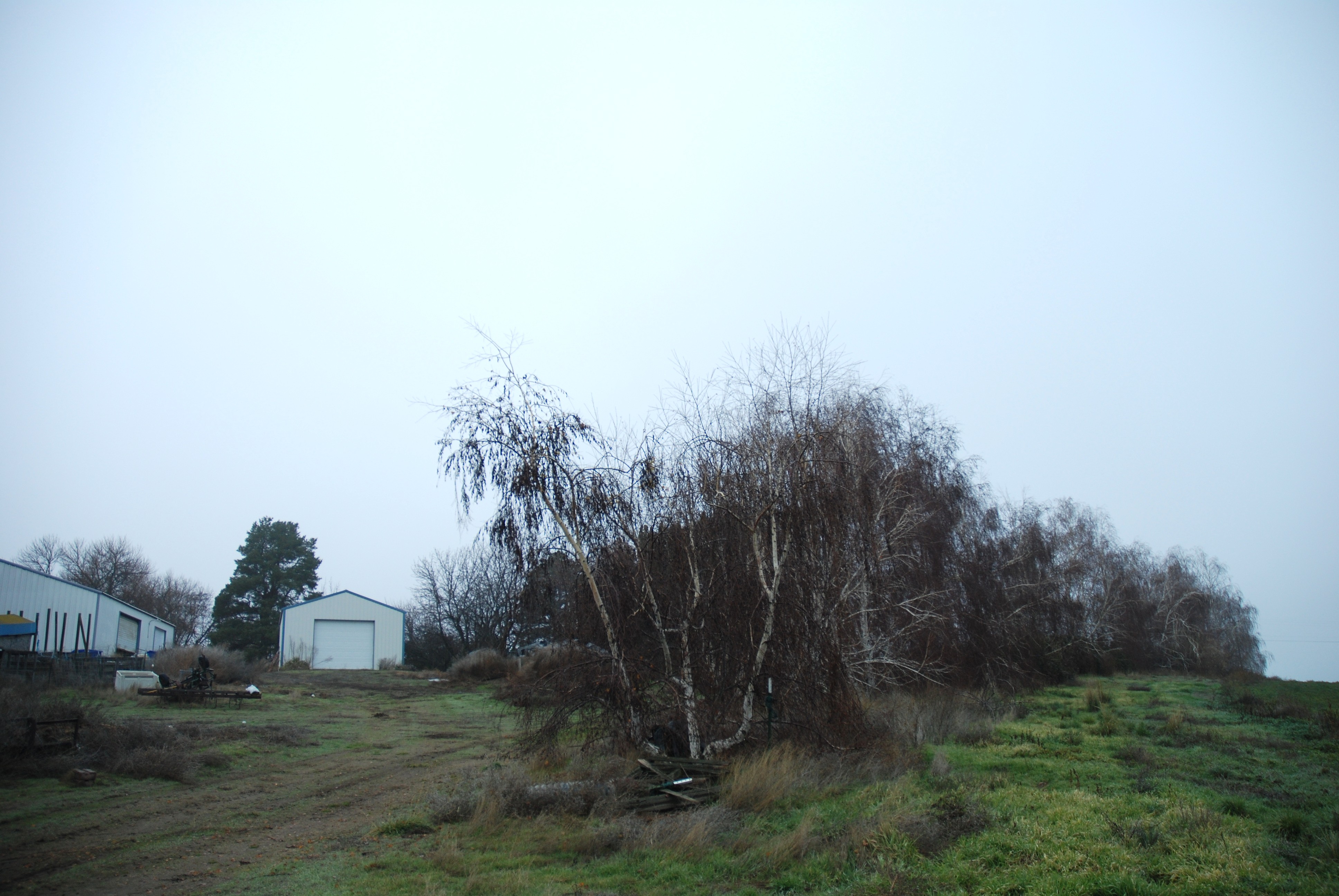 Warden, Washington, 98857, United States, 4 Bedrooms Bedrooms, ,1 BathroomBathrooms,Residential,For Sale,2006383