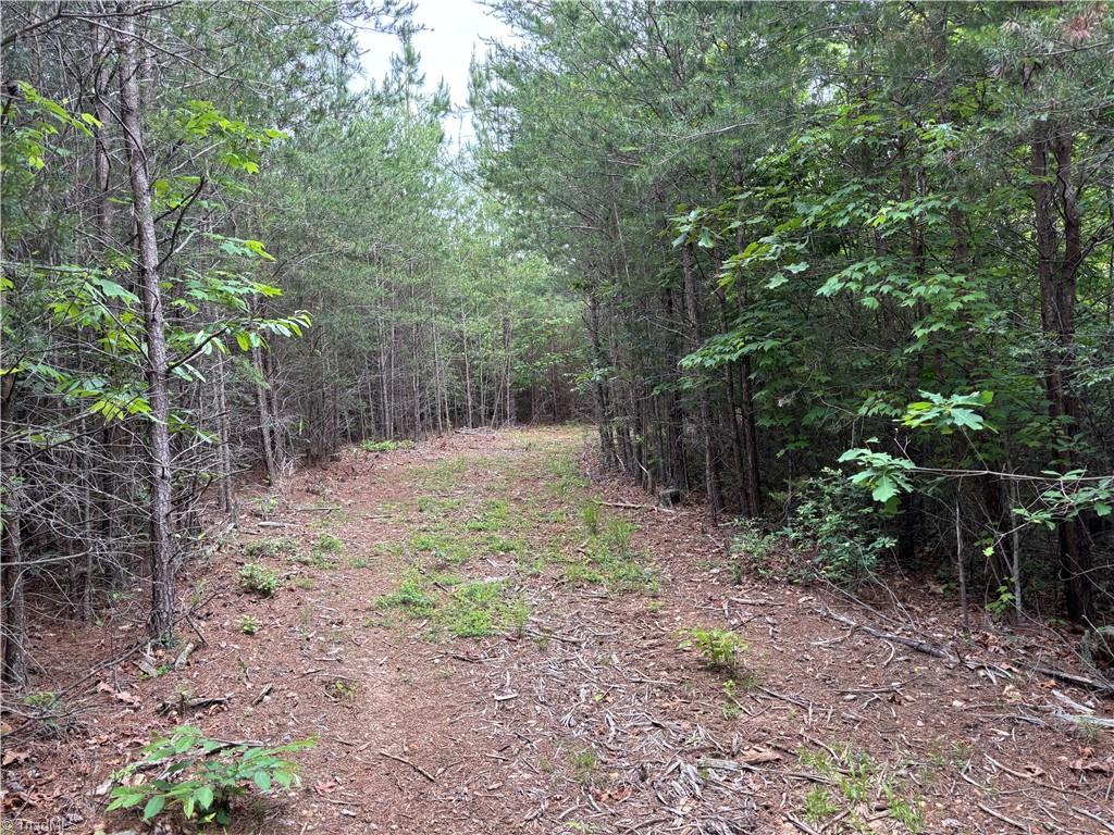 Pinnacle, North Carolina, 27043, United States, ,Land,For Sale,1829534