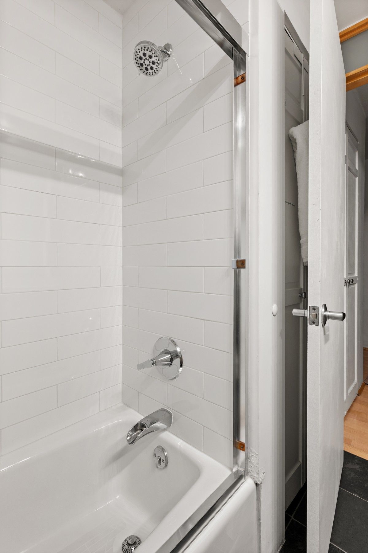  910 W Hallam Street, Aspen, CO, 81611 - 物件實景