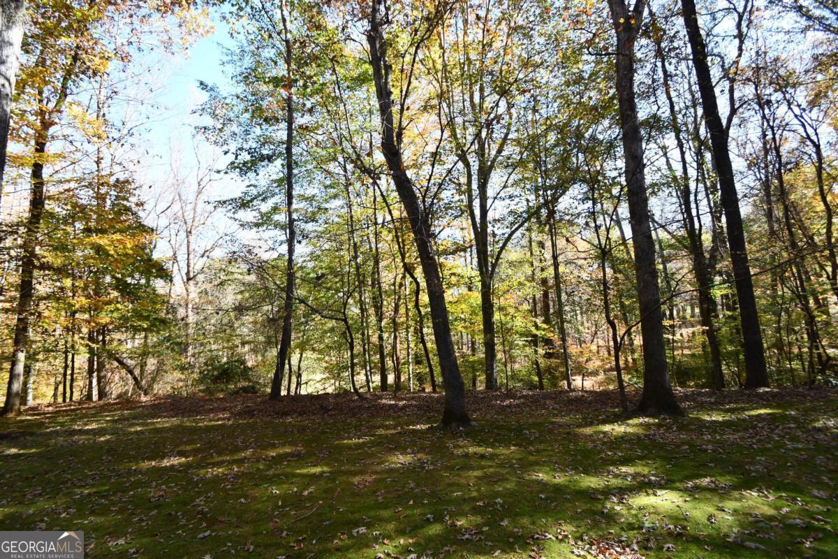 Athens, Georgia, 30607, United States, 5 Bedrooms Bedrooms, ,5 BathroomsBathrooms,Residential,For Sale,1993112