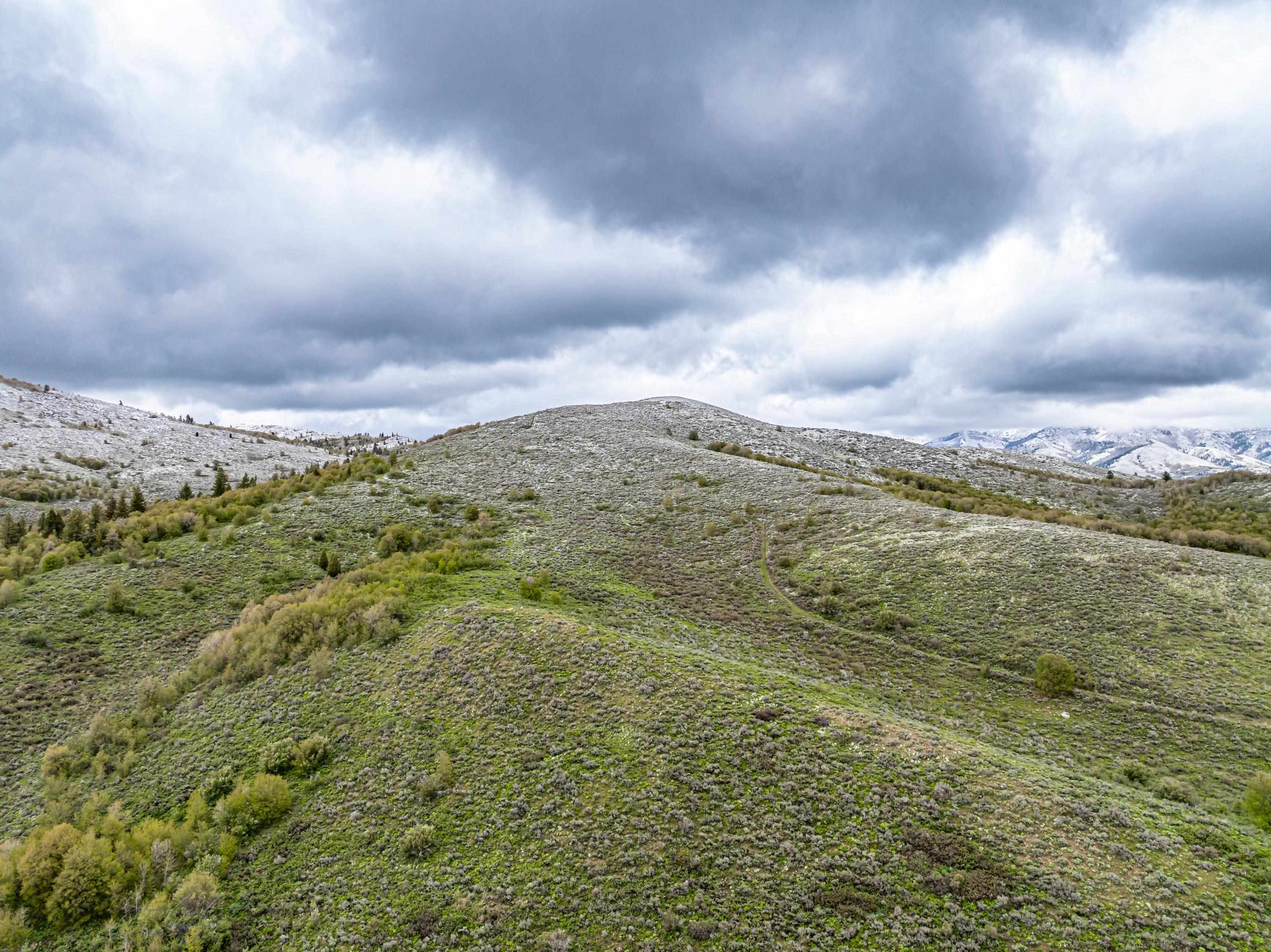 Pocatello, Idaho, 83202, United States, ,Residential,For Sale,1900816