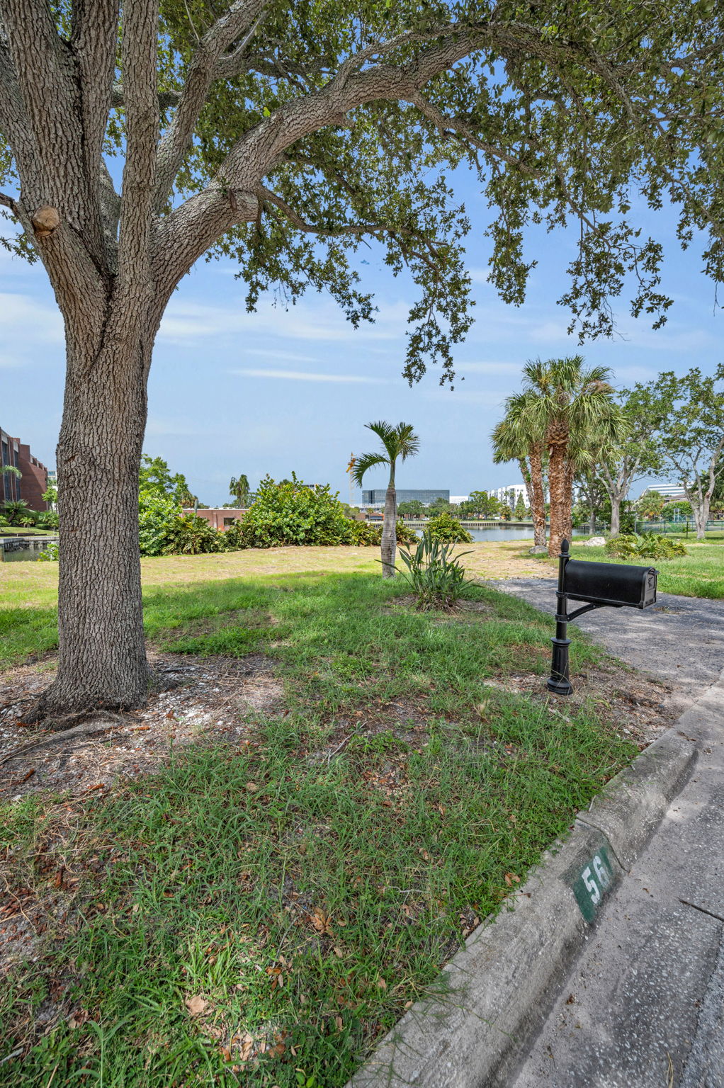 Tampa, Florida, 33609, United States, ,Land,For Sale,1976610