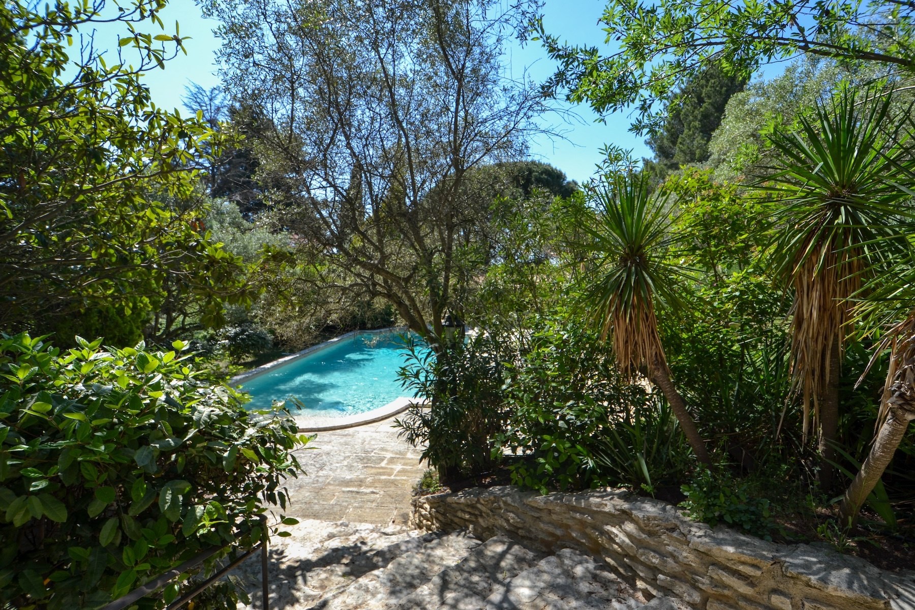  Large Property on 1.5 Hectares with Pool, Just Steps from the Town Center - 物件實景