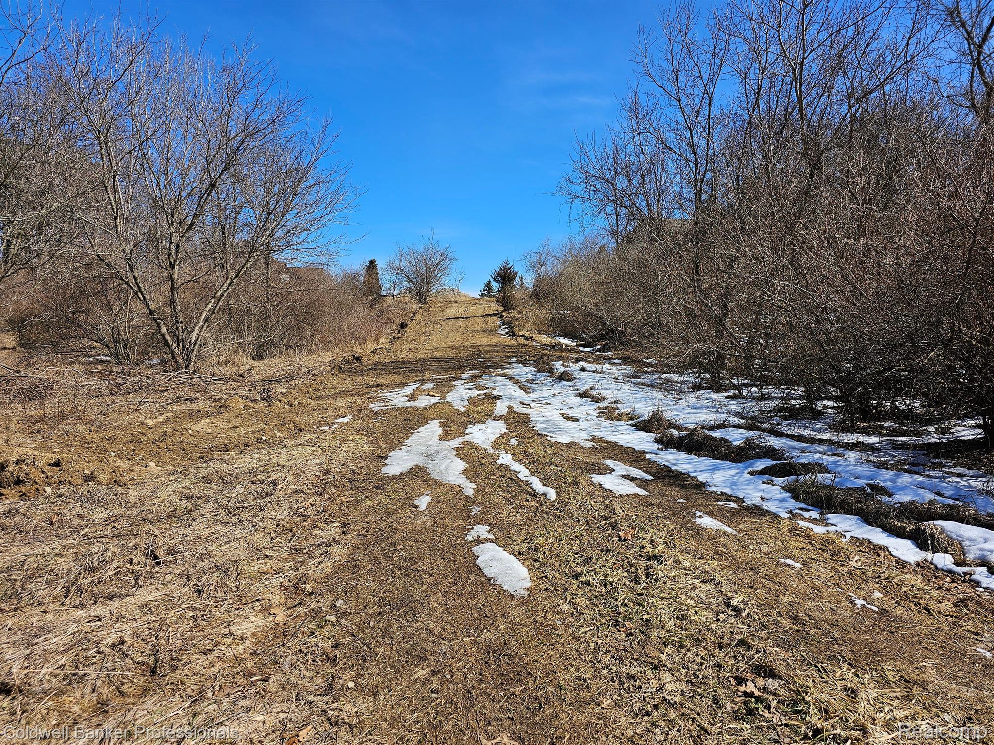 Metamora, Michigan, 48455, United States, ,Land,For Sale,1736755