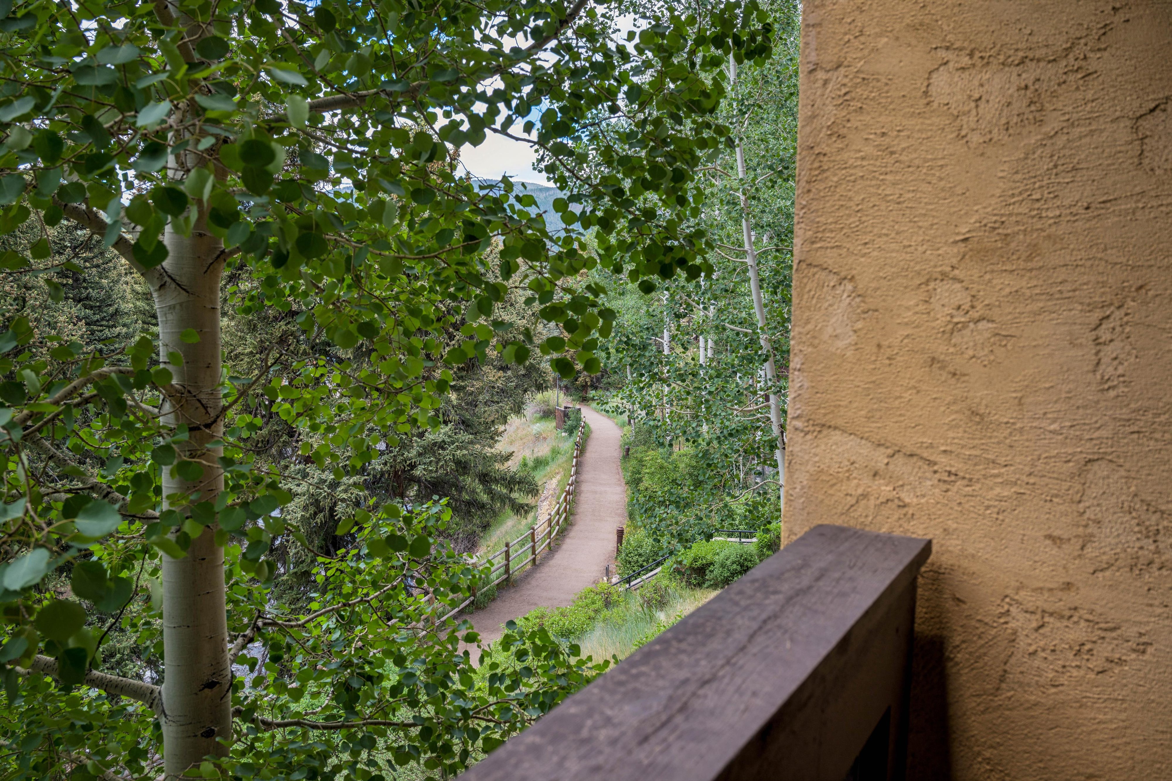  434 S Frontage Road E, Vail, CO, 81657 - 物件實景