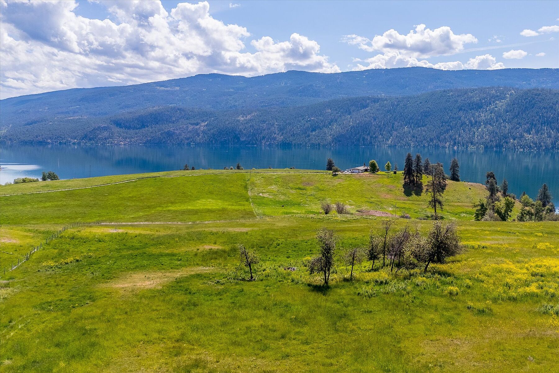  Kal-Lake Cattle - 物件實景