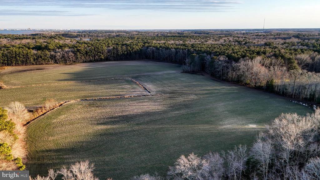 Bishopville, Maryland, 21813, United States, ,Residential,For Sale,1735917