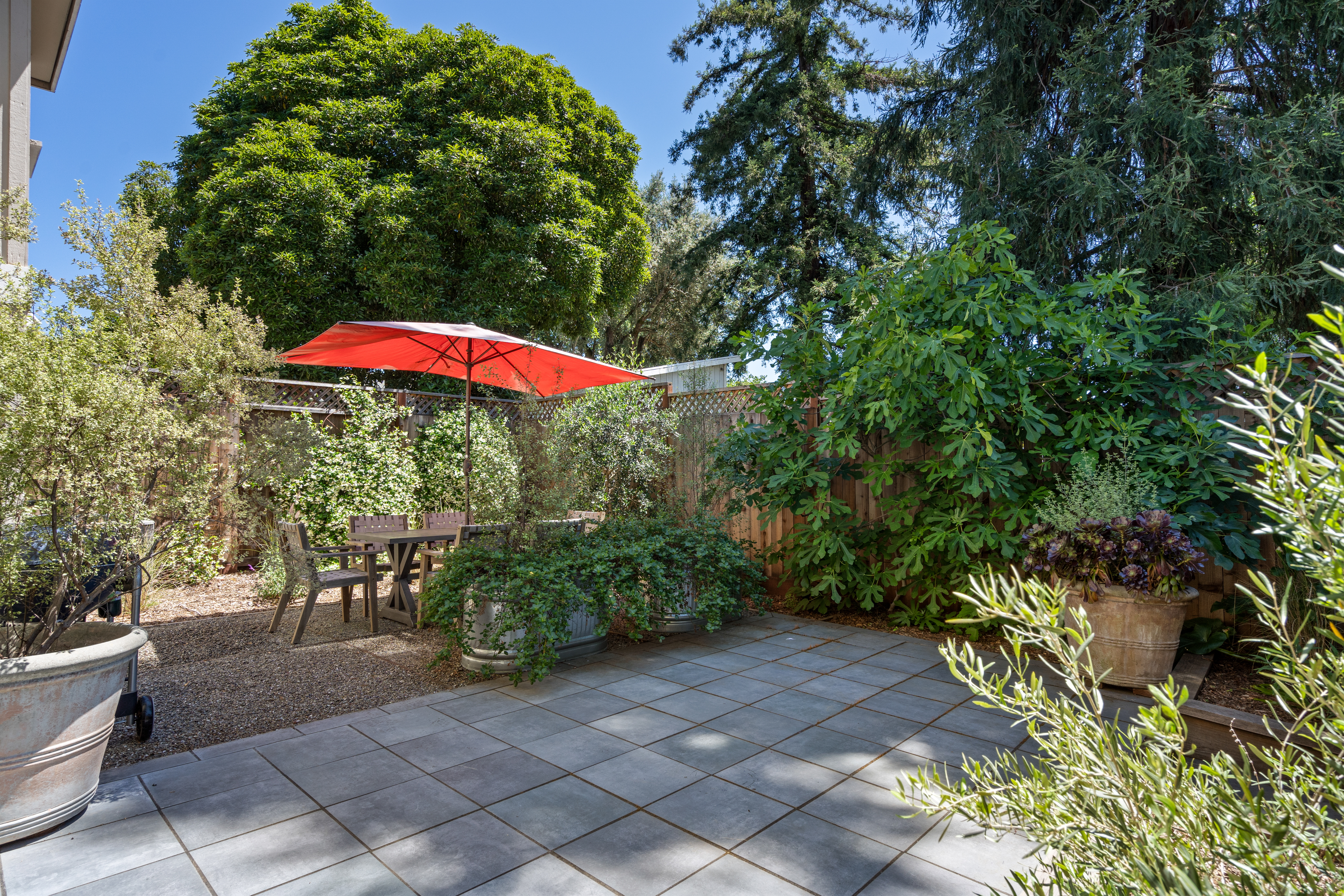  362 Piper Street, Healdsburg, CA 95448 - 物件實景