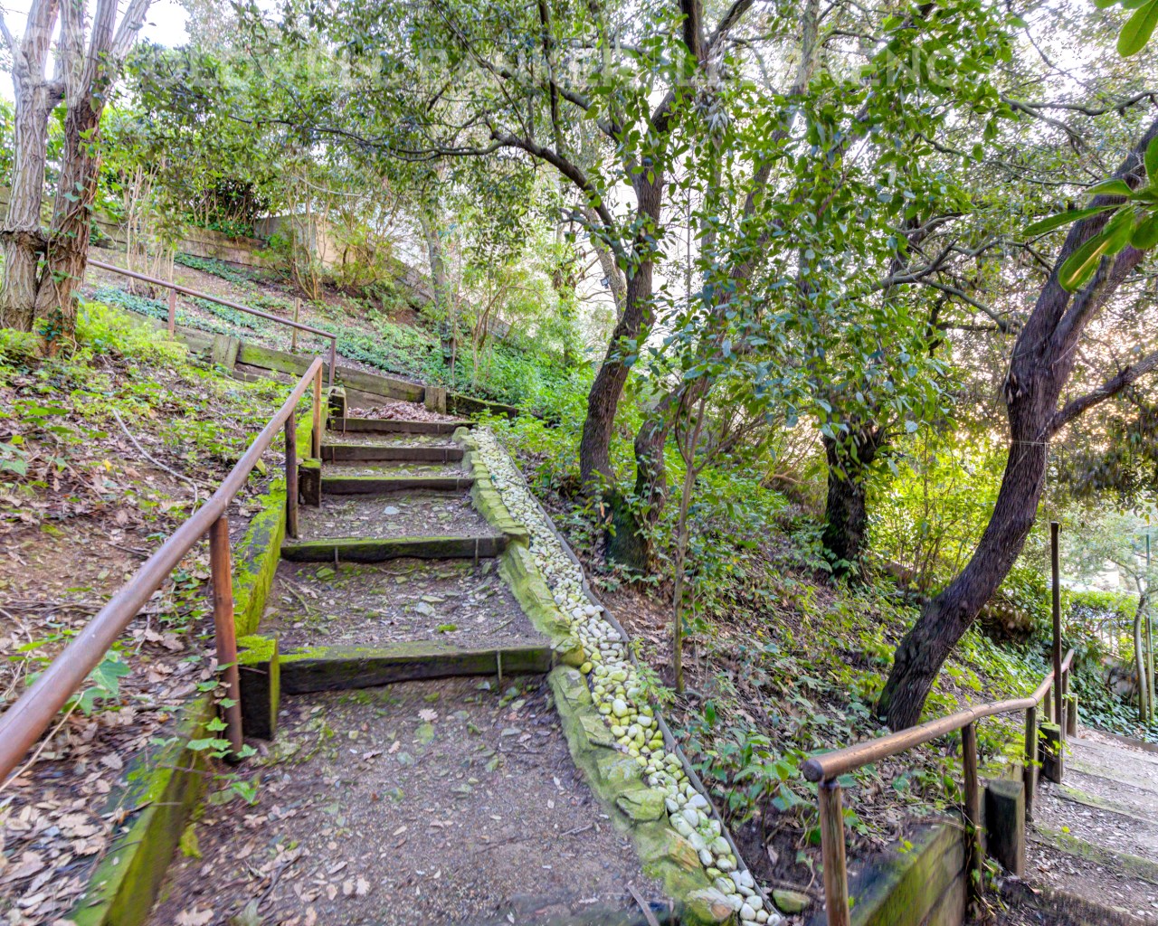 Barcelona, Barcelona, Sarri? - Sant Gervasi, Vallv, Barcelona, Catalonia, ES, 7 Bedrooms Bedrooms, ,6 BathroomsBathrooms,Residential,For Sale,Barcelona, Barcelona, Sarri? - Sant Gervasi, Vallv,1613129