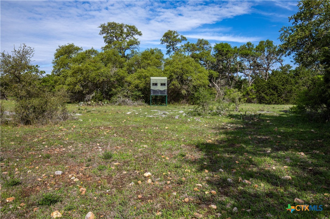San Marcos, Texas, 78666, United States, ,Land,For Sale,1990898