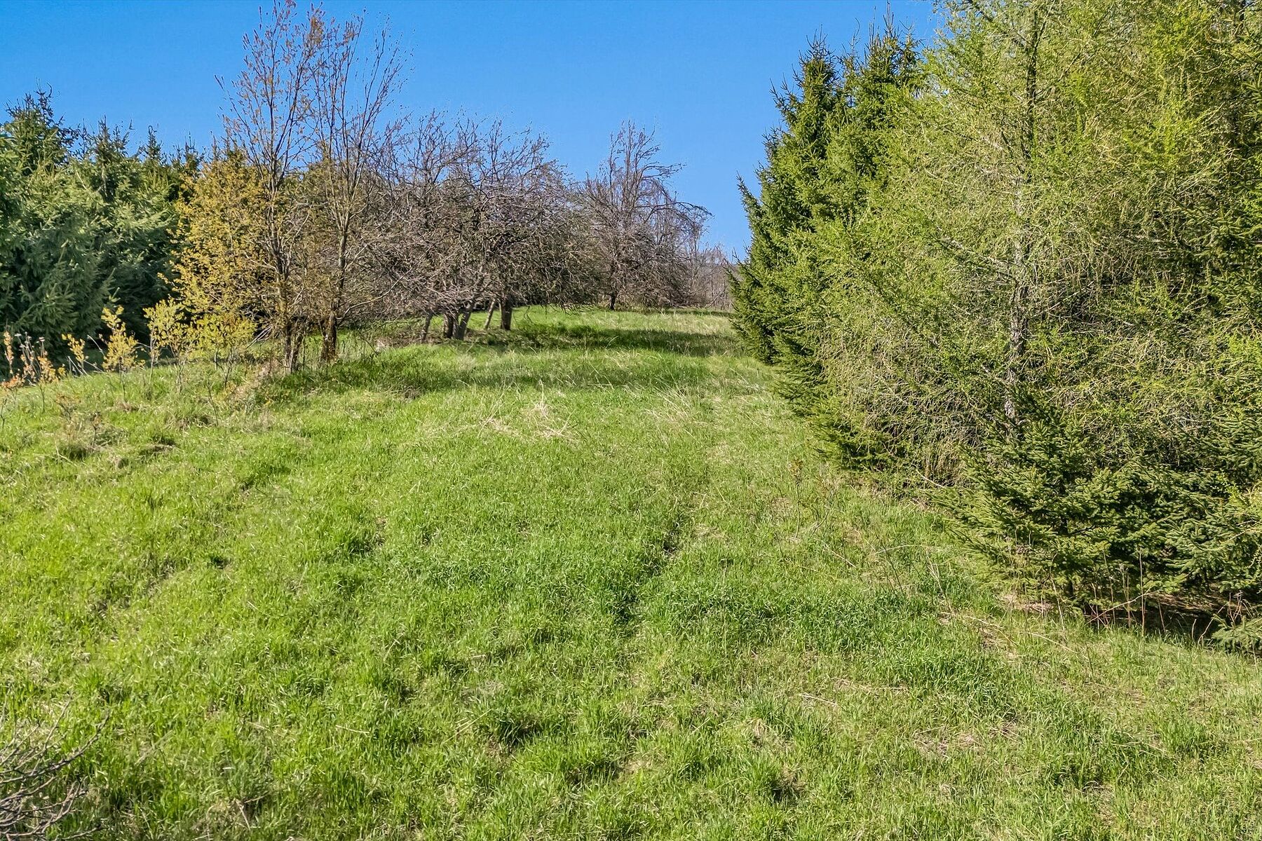  88-Acre Mulmur Estate - 物件實景
