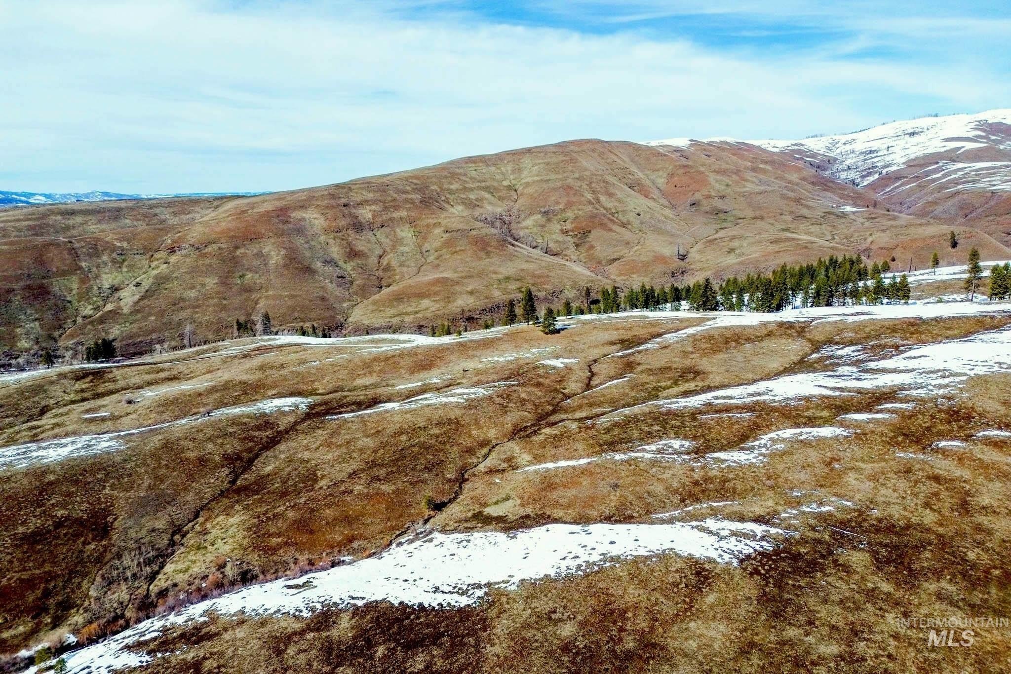 Council, Idaho, 83612, United States, ,Residential,For Sale,1921921