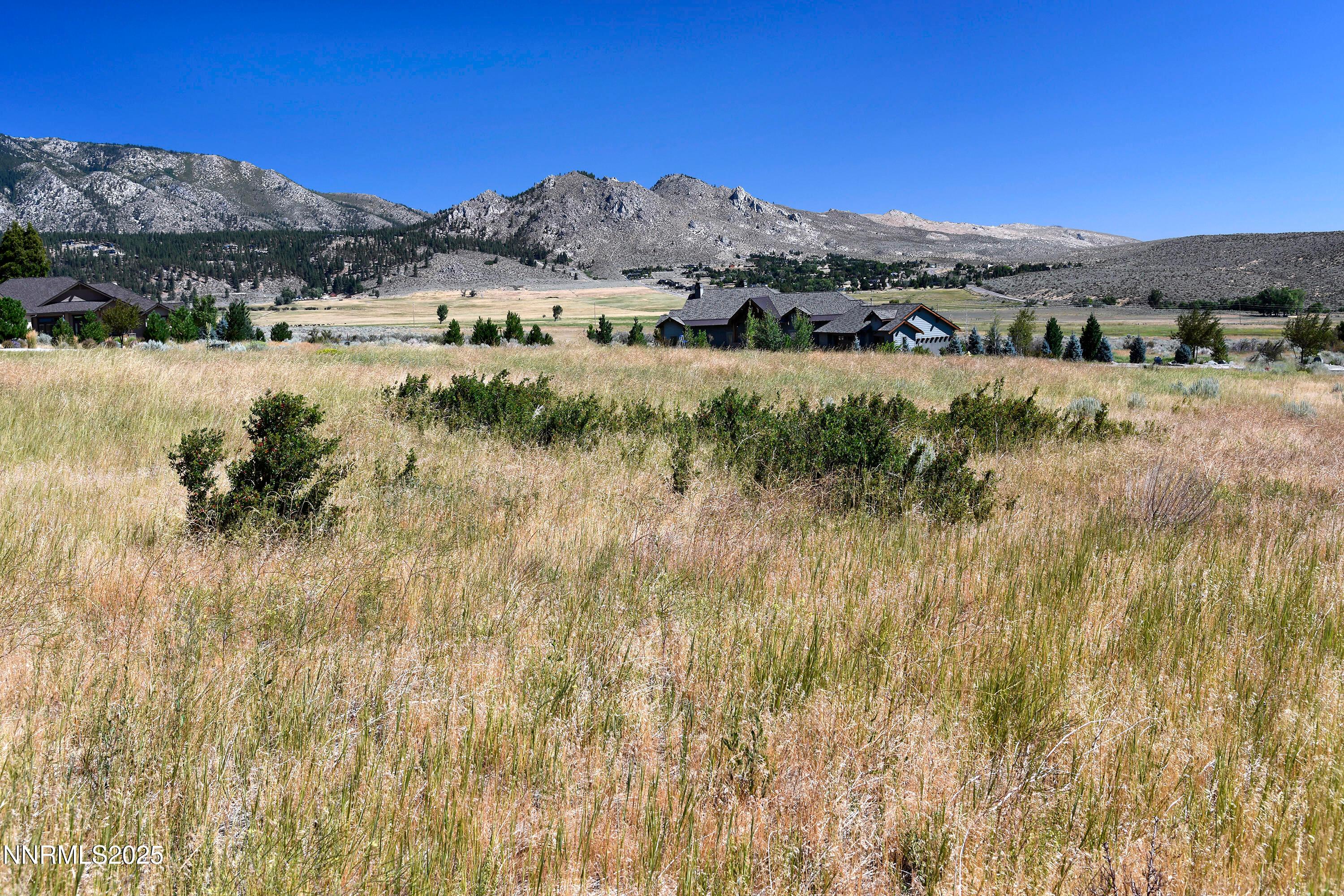 Genoa, Nevada, 89411, United States, ,Residential,For Sale,1939725