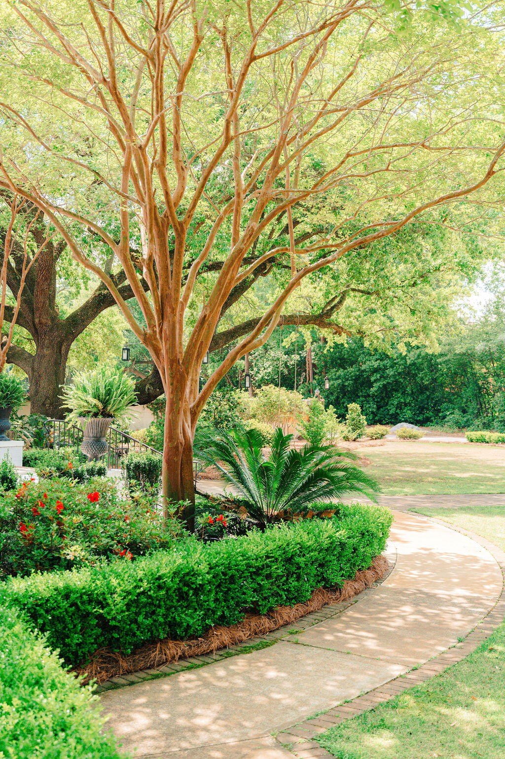 Sumter, South Carolina, 29150, United States, 4 Bedrooms Bedrooms, ,4 BathroomsBathrooms,Residential,For Sale,2005163