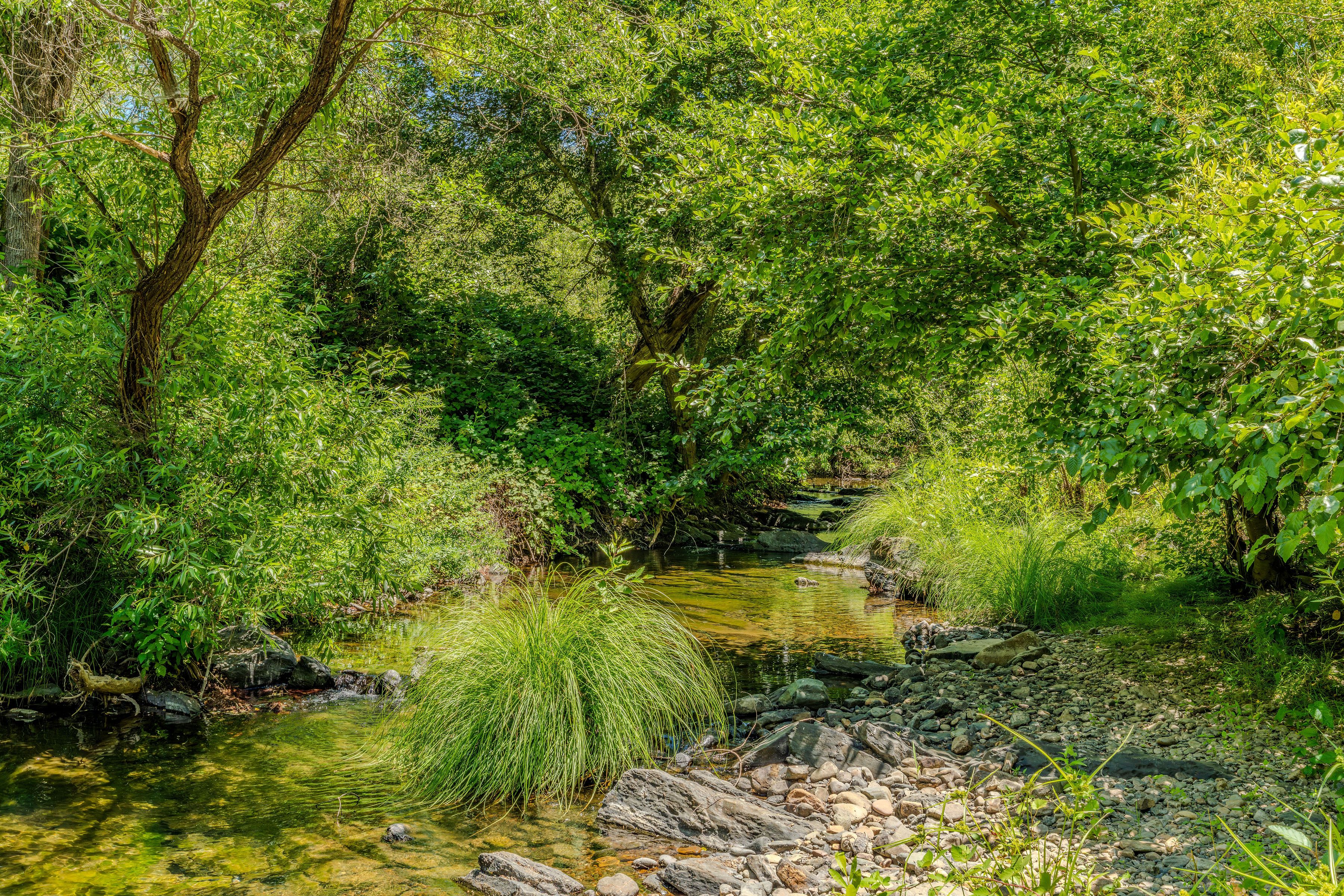  16000 Sutter Creek Road, Sutter Creek, CA 95685 - 物件實景