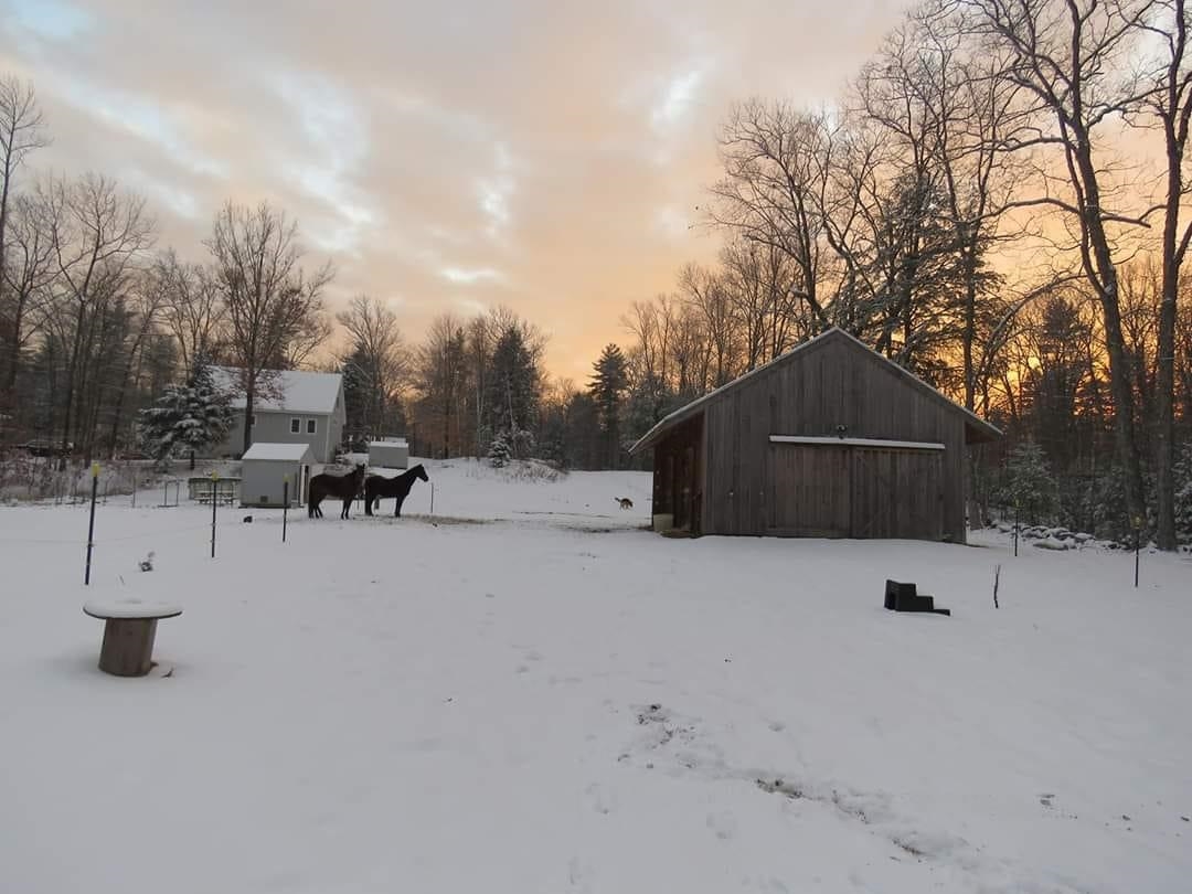 Fremont, New Hampshire, 03044, United States, 3 Bedrooms Bedrooms, ,4 BathroomsBathrooms,Residential,For Sale,1880458