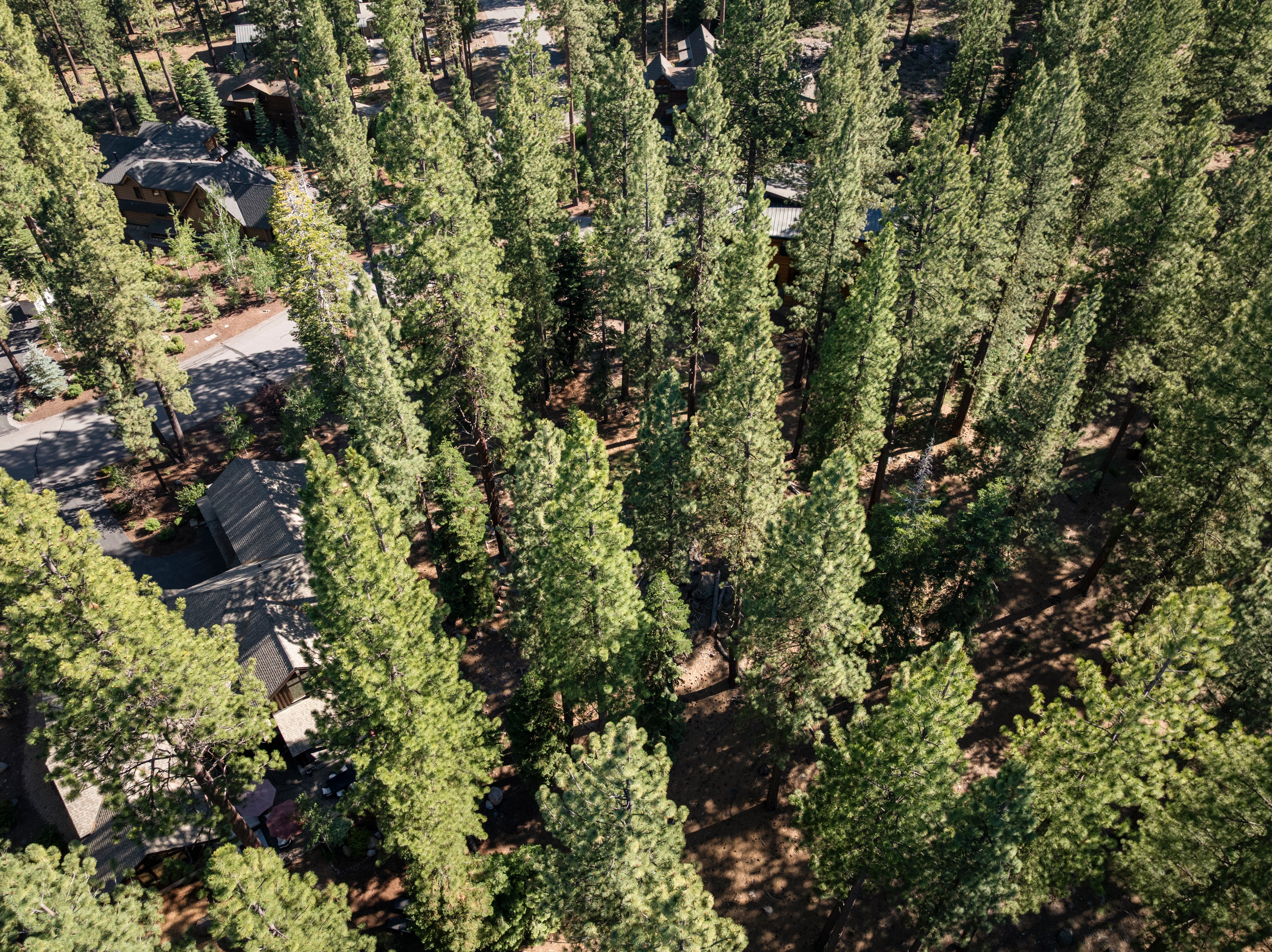  9252 Heartwood Drive - 物件實景