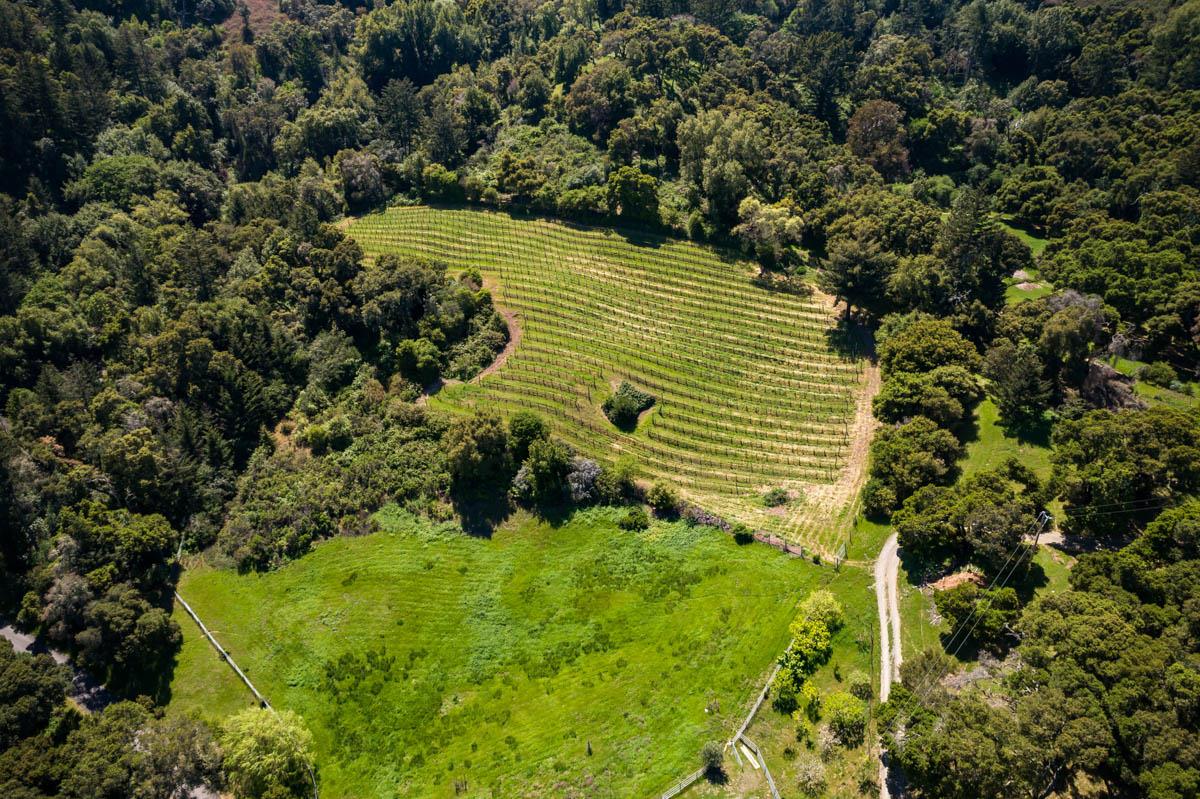 5660 Alpine Rd, Portola Valley, California, 94028, United States, 6 Bedrooms Bedrooms, ,11 BathroomsBathrooms,Residential,For Sale,5660 Alpine Rd,1611941