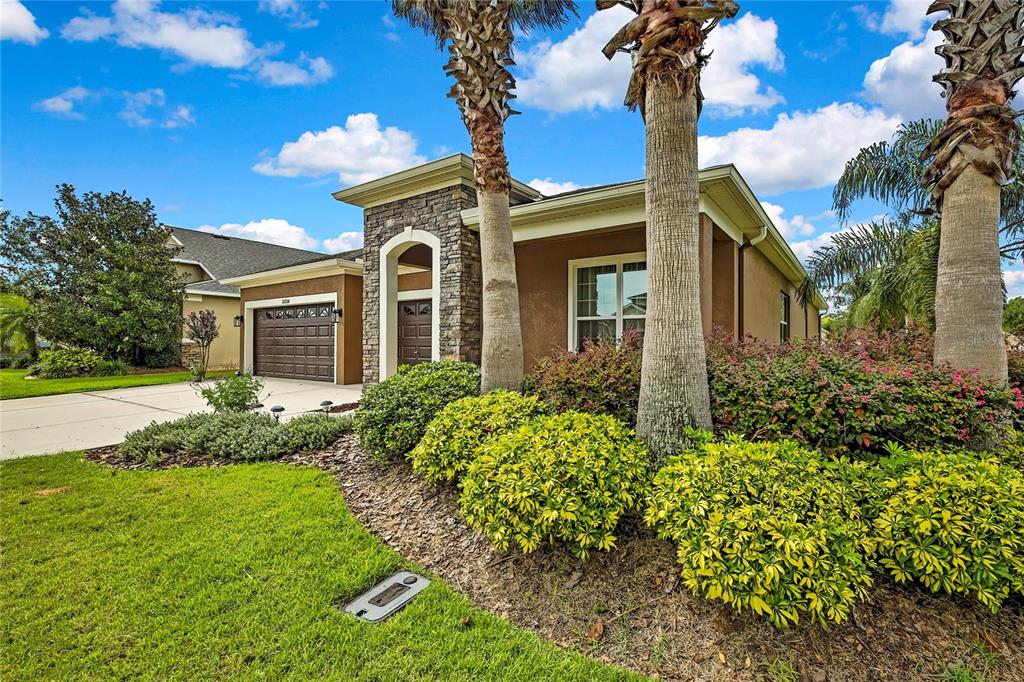 Wesley Chapel, Florida, 33543, United States, 4 Bedrooms Bedrooms, ,2 BathroomsBathrooms,Residential,For Sale,1943150